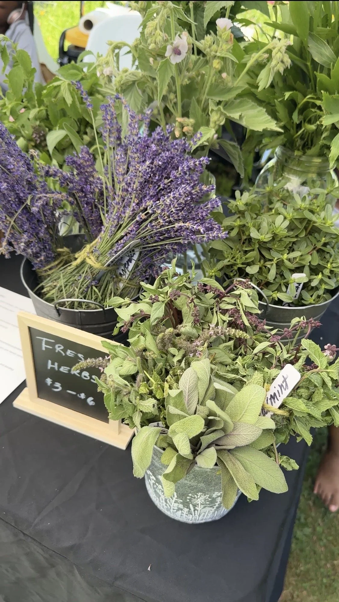 image14.jpg
