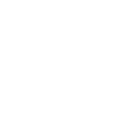 A flag with 'IPO' written on it, on a flagpole, with stars and circles around it.