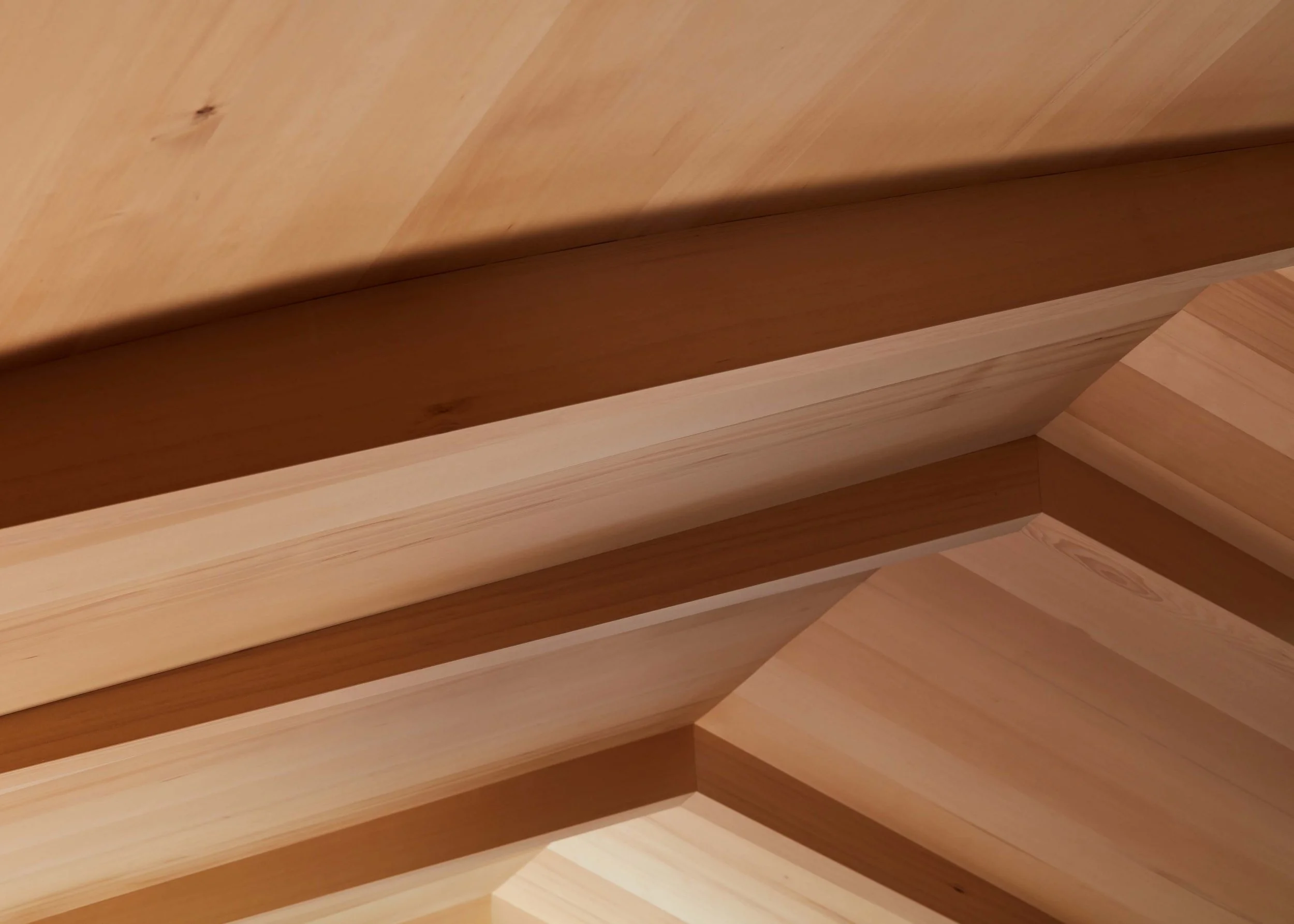 SanMateo_Interior-29.jpg