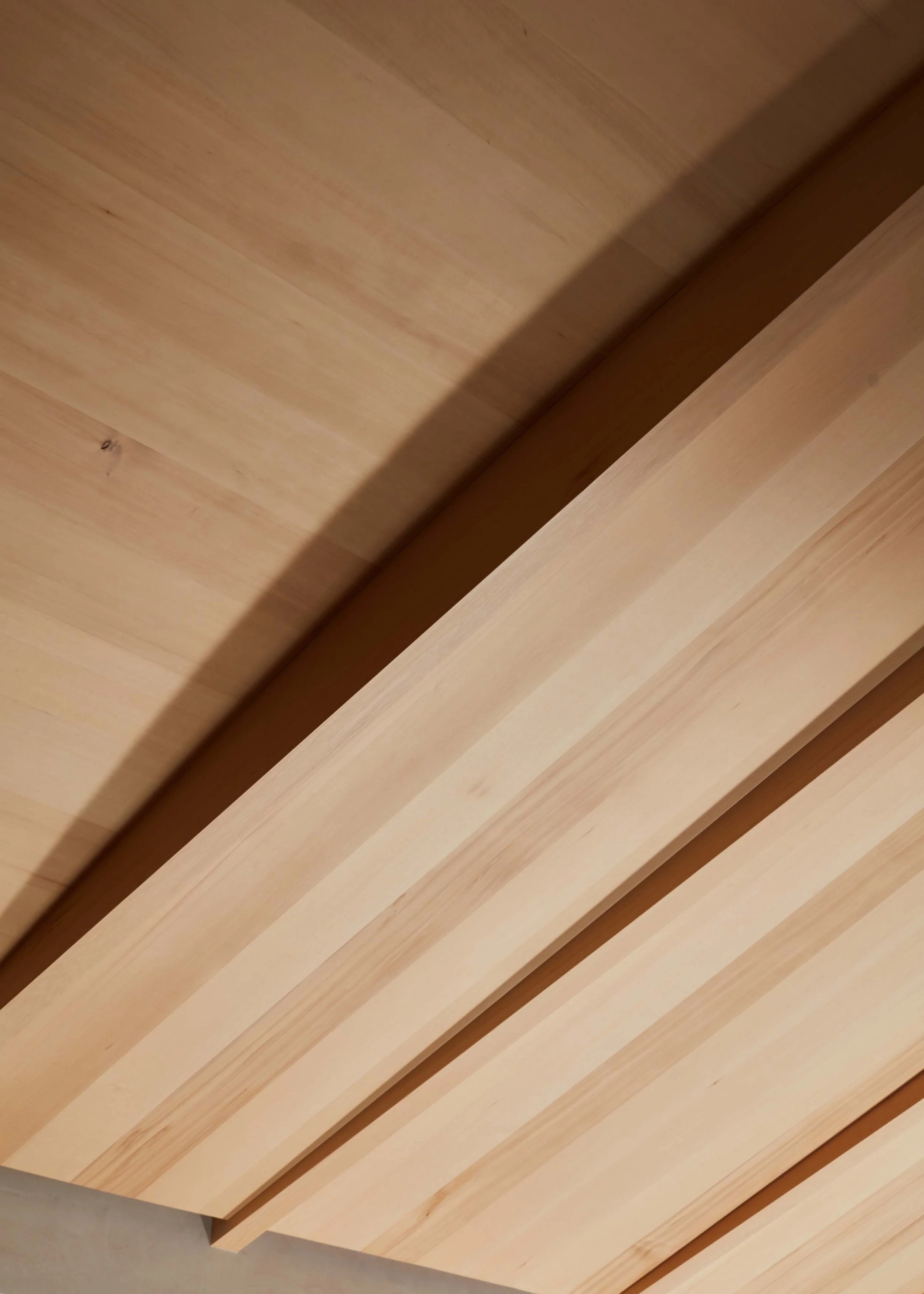 SanMateo_Interior-42.jpg