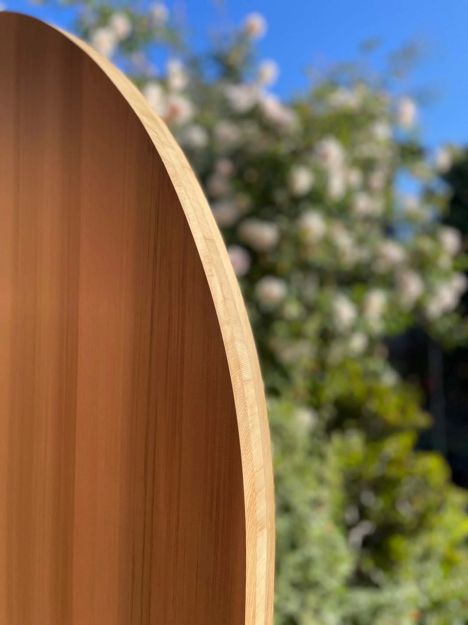 Sauna_CurvedWall_CloseUp.jpg