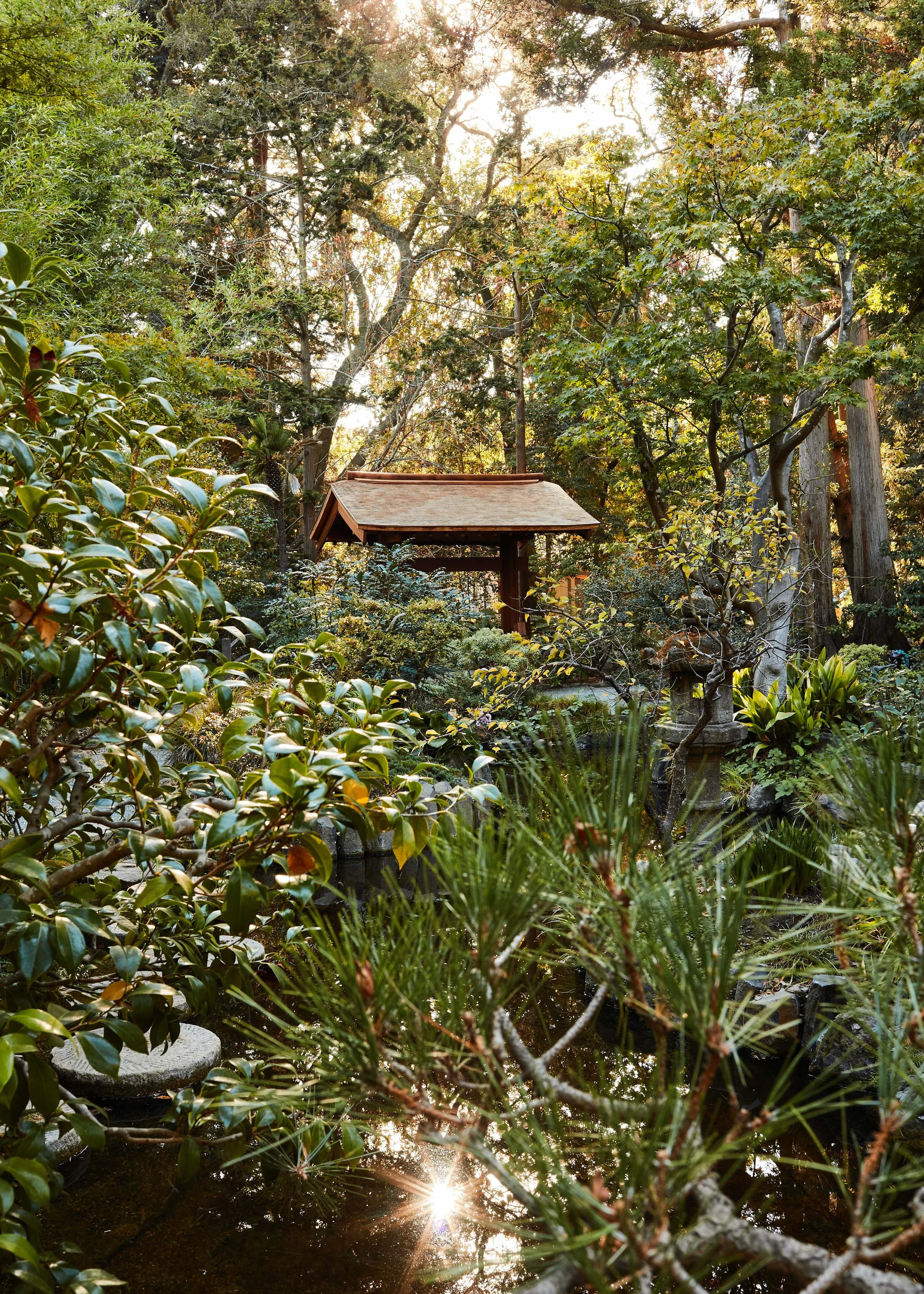 Garden Structures