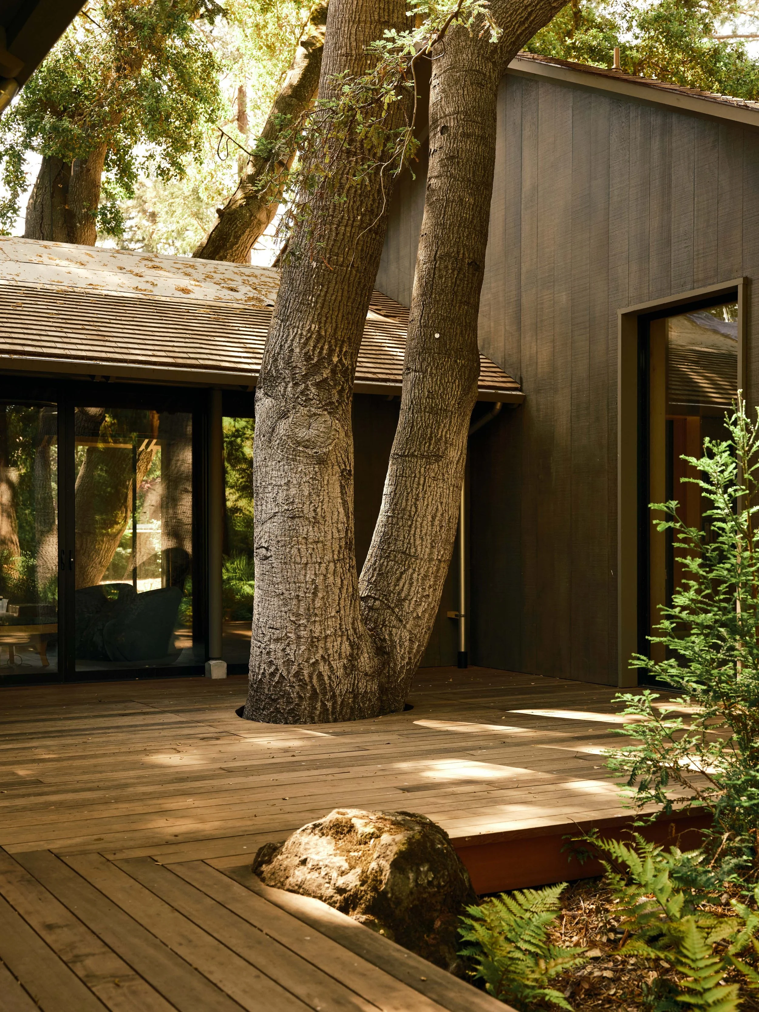 SanMateo_Pool_House-012.jpg