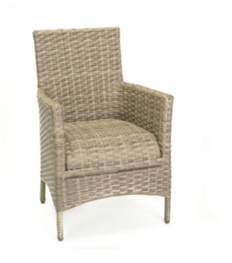 Grand Palm Dining Chair