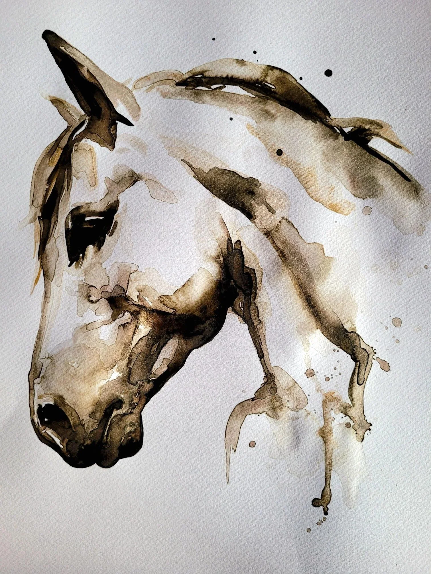 Pferd_Aquarell_02.jpg