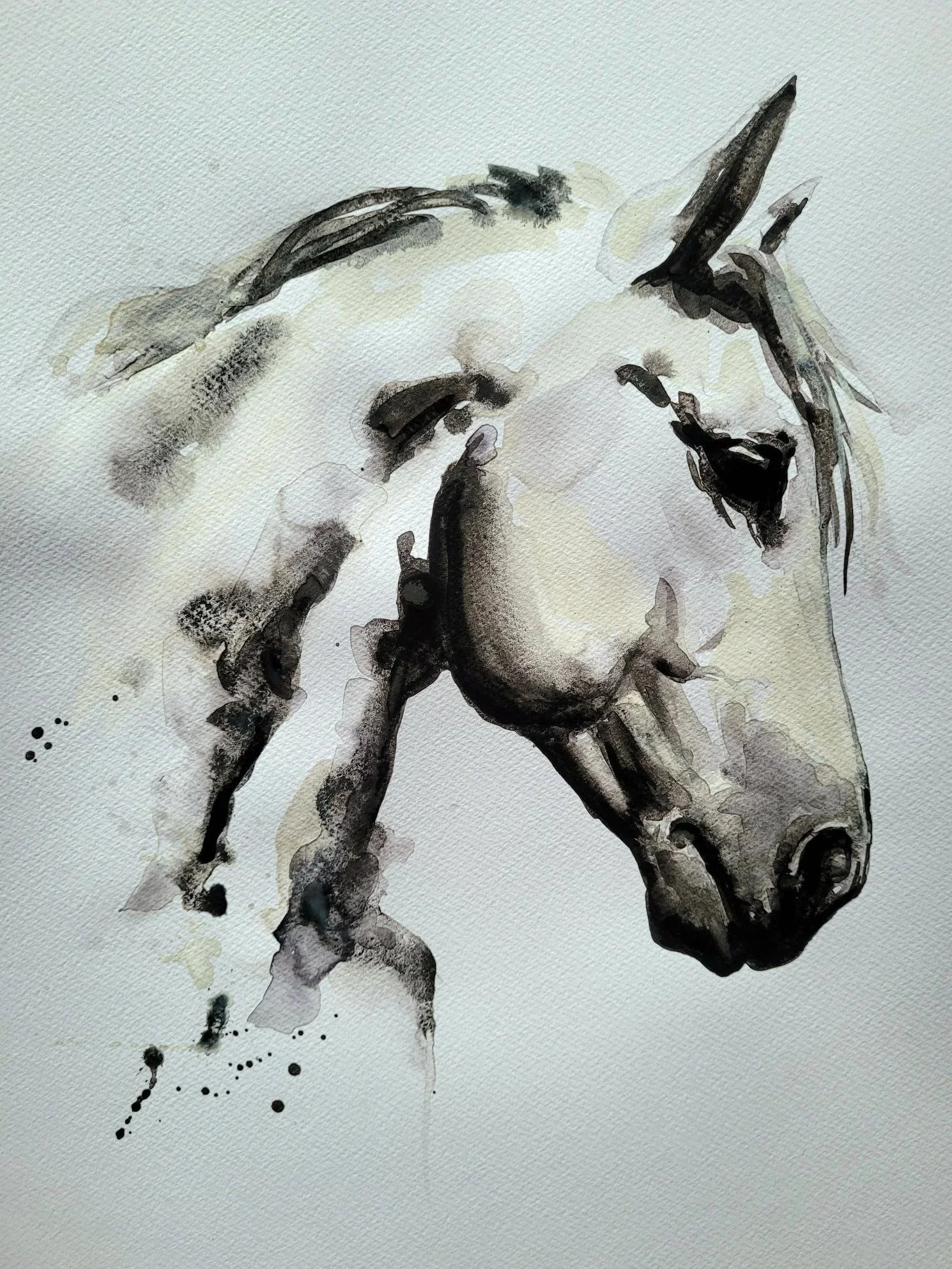 Pferd_Aquarell_01.jpg