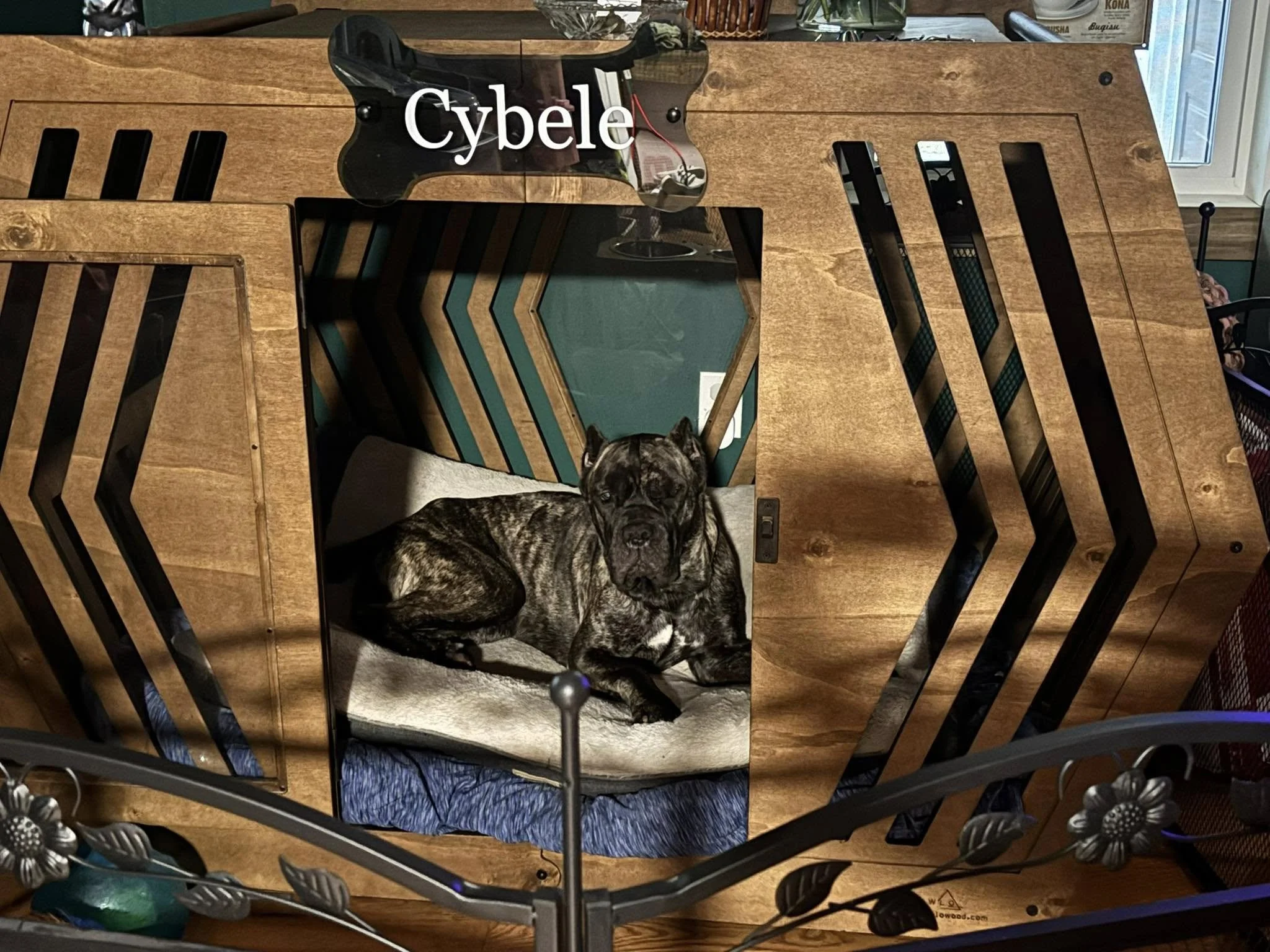 A brindle-colored dog lying on a cushioned bed inside a wooden dog crate. The crate has a mirror on the top front panel, reflecting a wall with geometric striped wallpaper. The word 'Cybele' is written on the mirror.