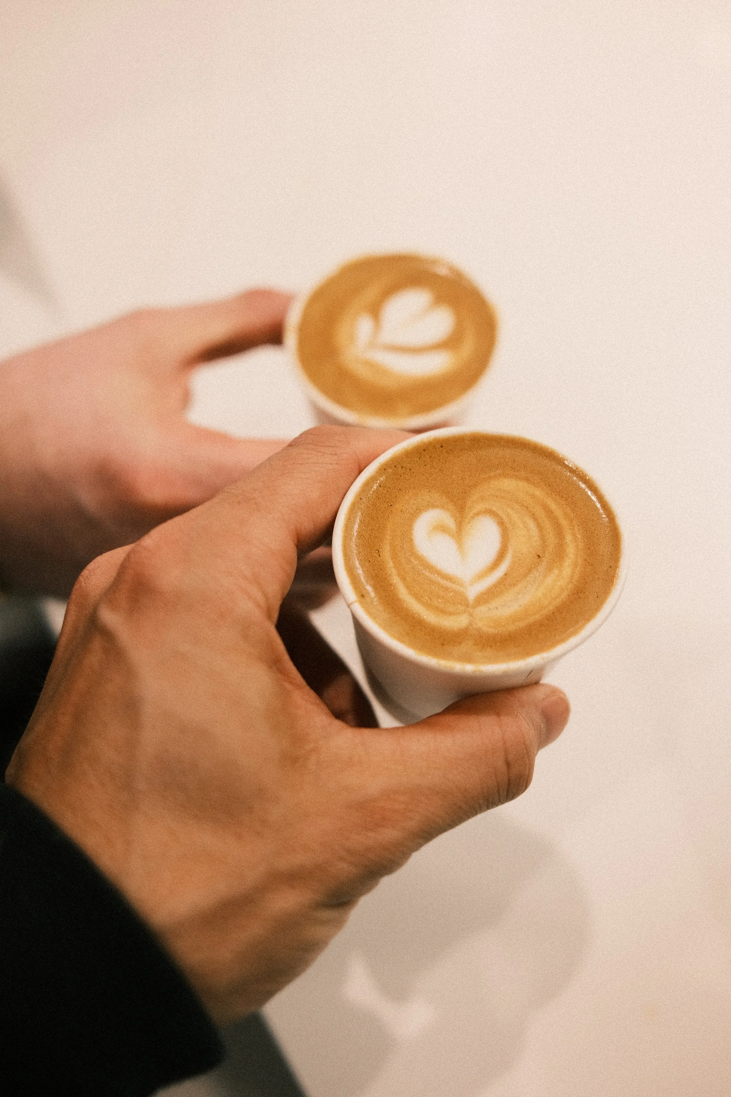 Photo Mar 07 2026, 12 55 14 PM.jpg