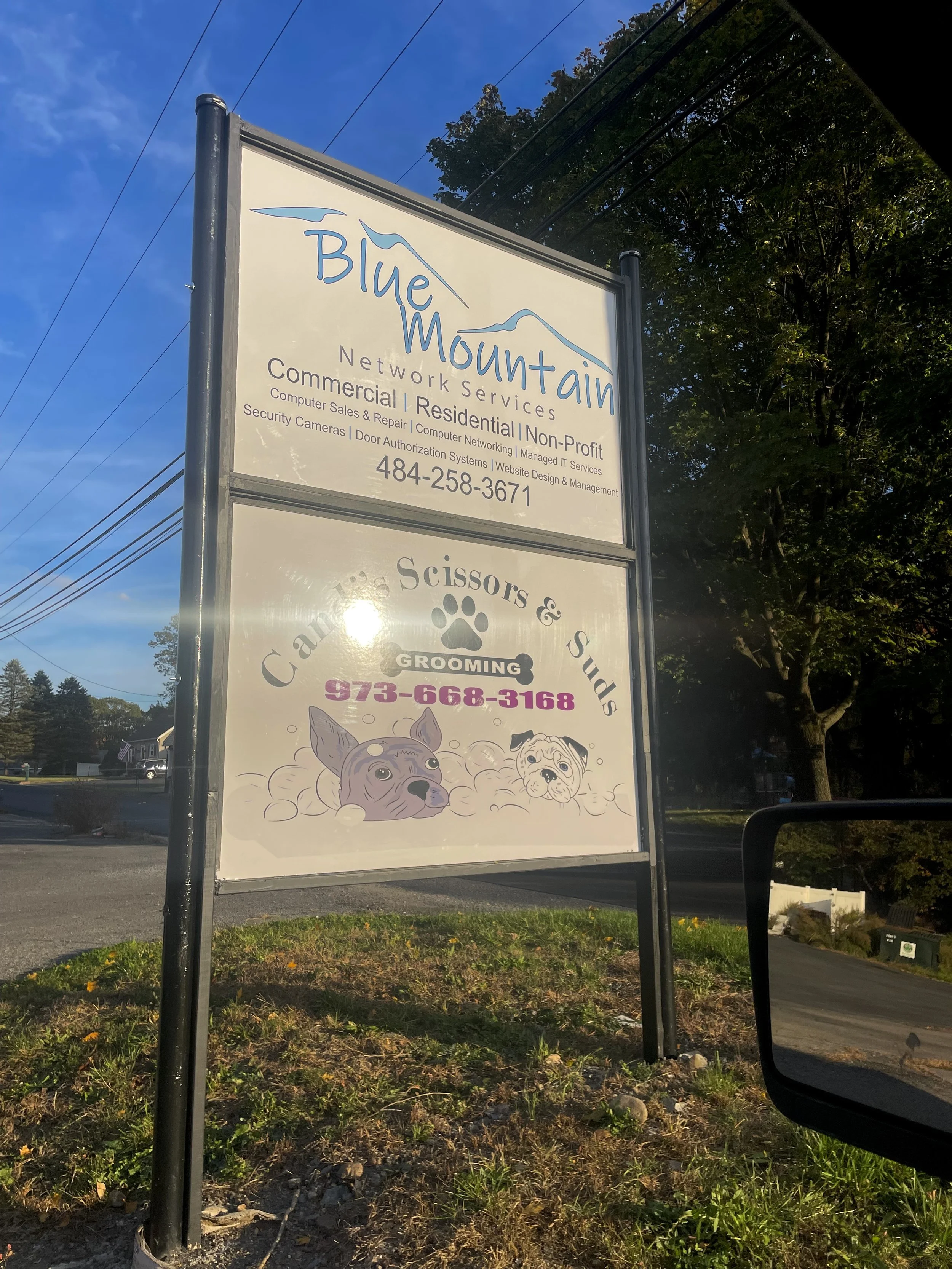 Signboard for Blue Mountain Network Services and grooming for cats and dogs, with contact numbers and illustration of two dogs in a bath.