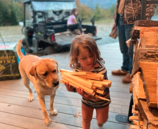 Little girl carrying firewood with a yellow Labrador Retriever nearby, on a wooden deck outdoors with a vehicle and people in the background.