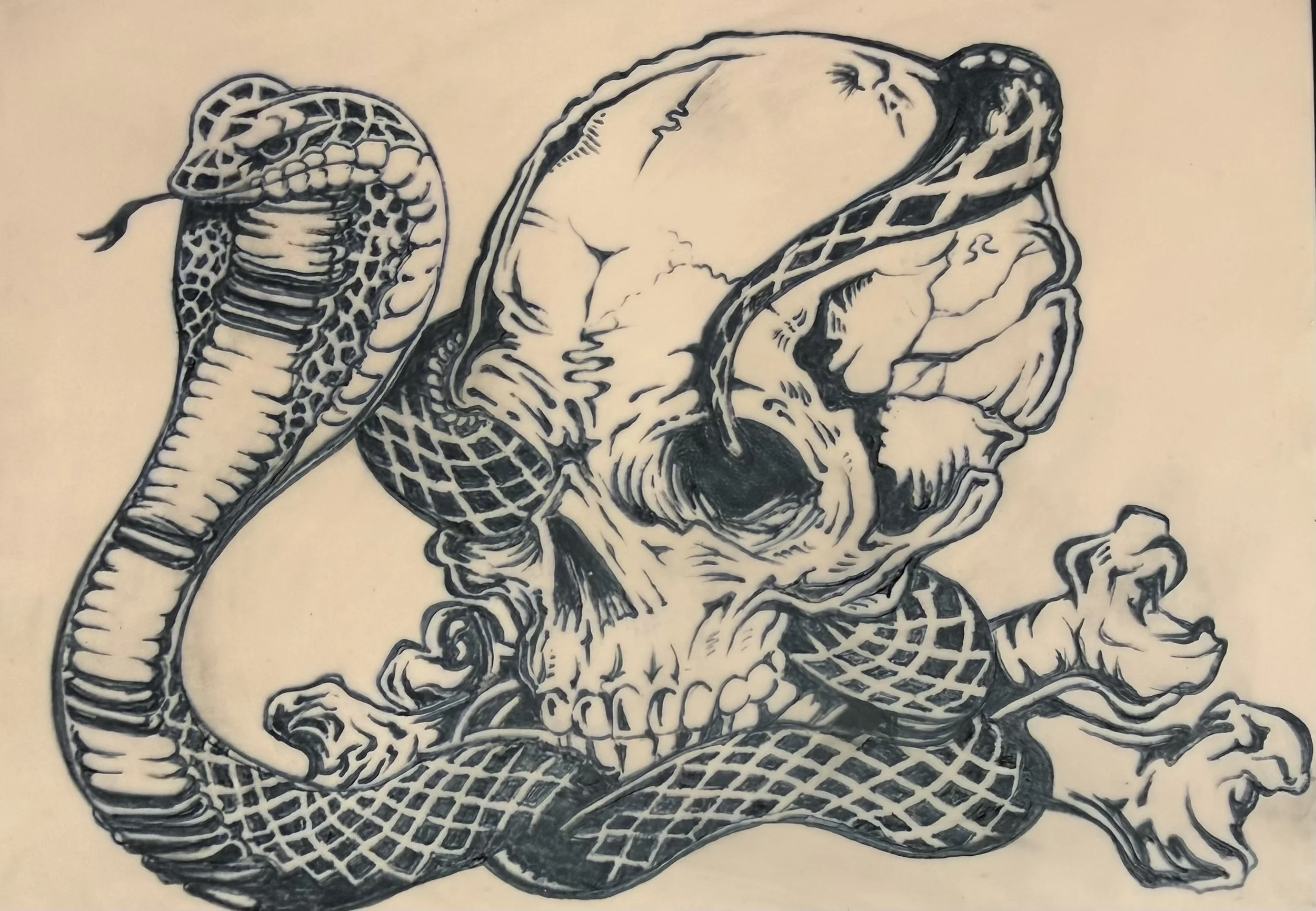 Snake_Skull.jpeg