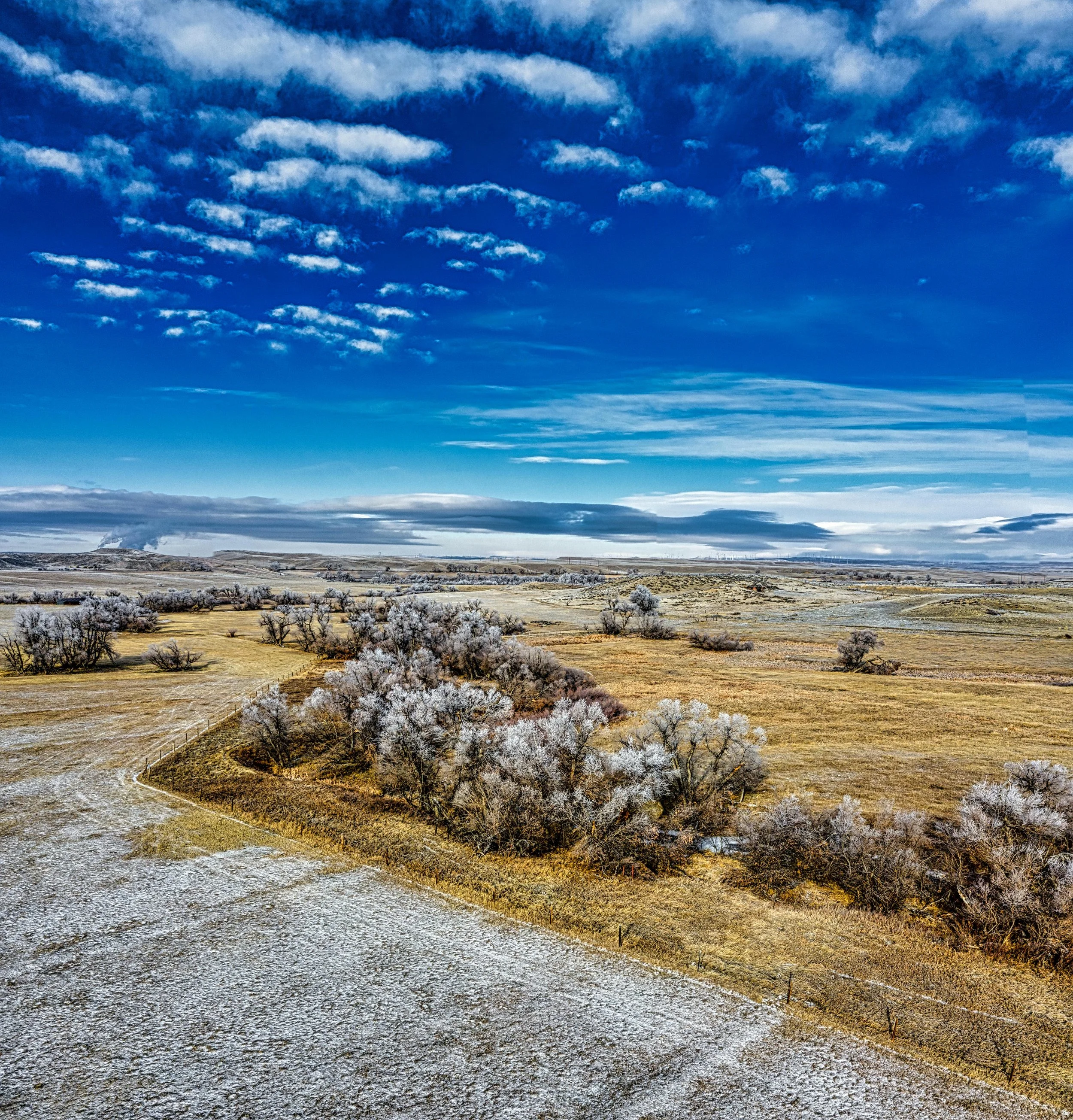 Cam Wright Public Lands