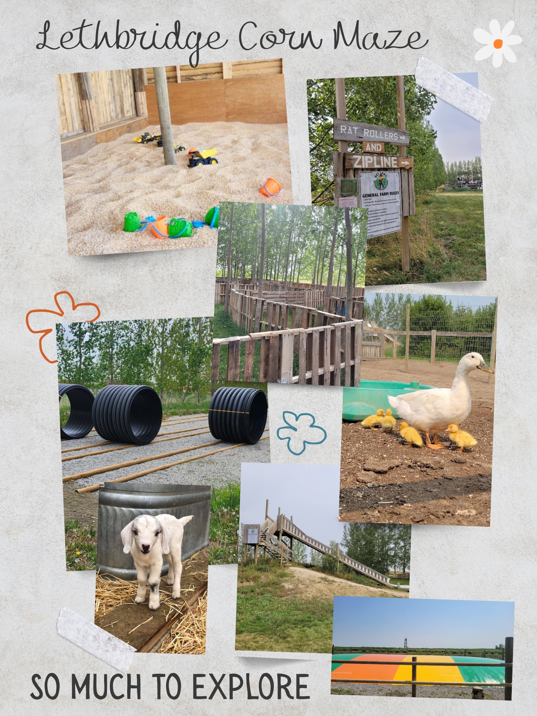 collage of a corn maze, a barn, a sign for a farm with rules, a wooded area with a fence, a puppy, a playground, and a painted hopscotch game on the ground