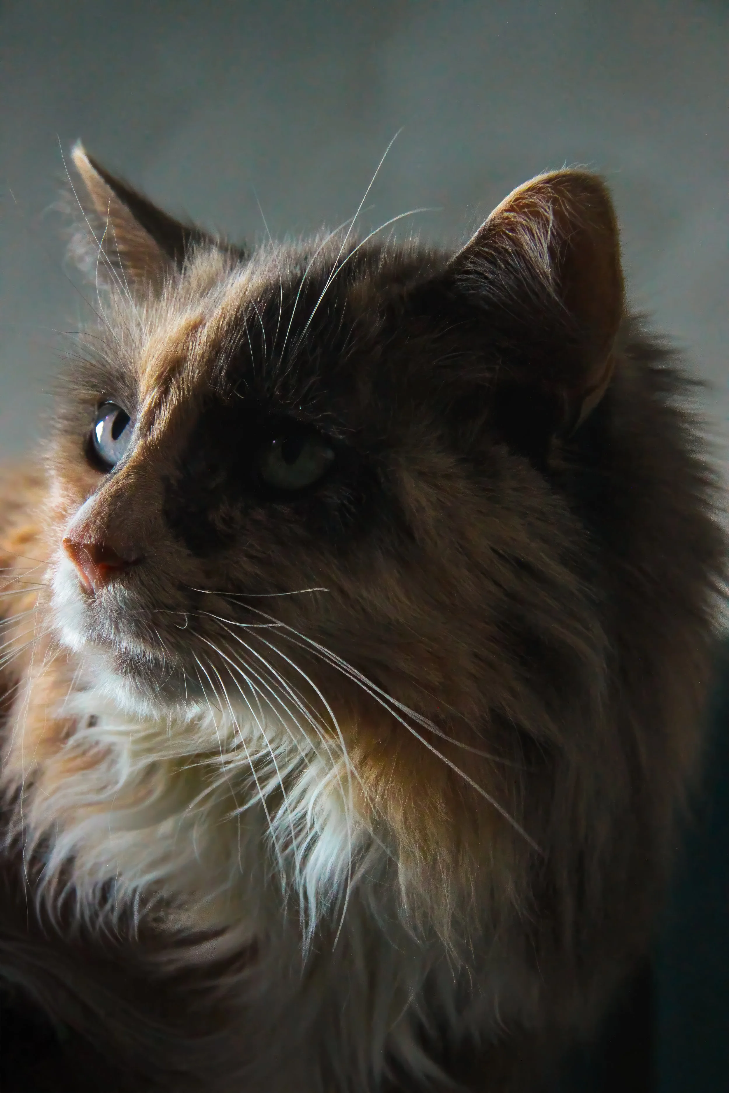 final - IMG_5325.jpg