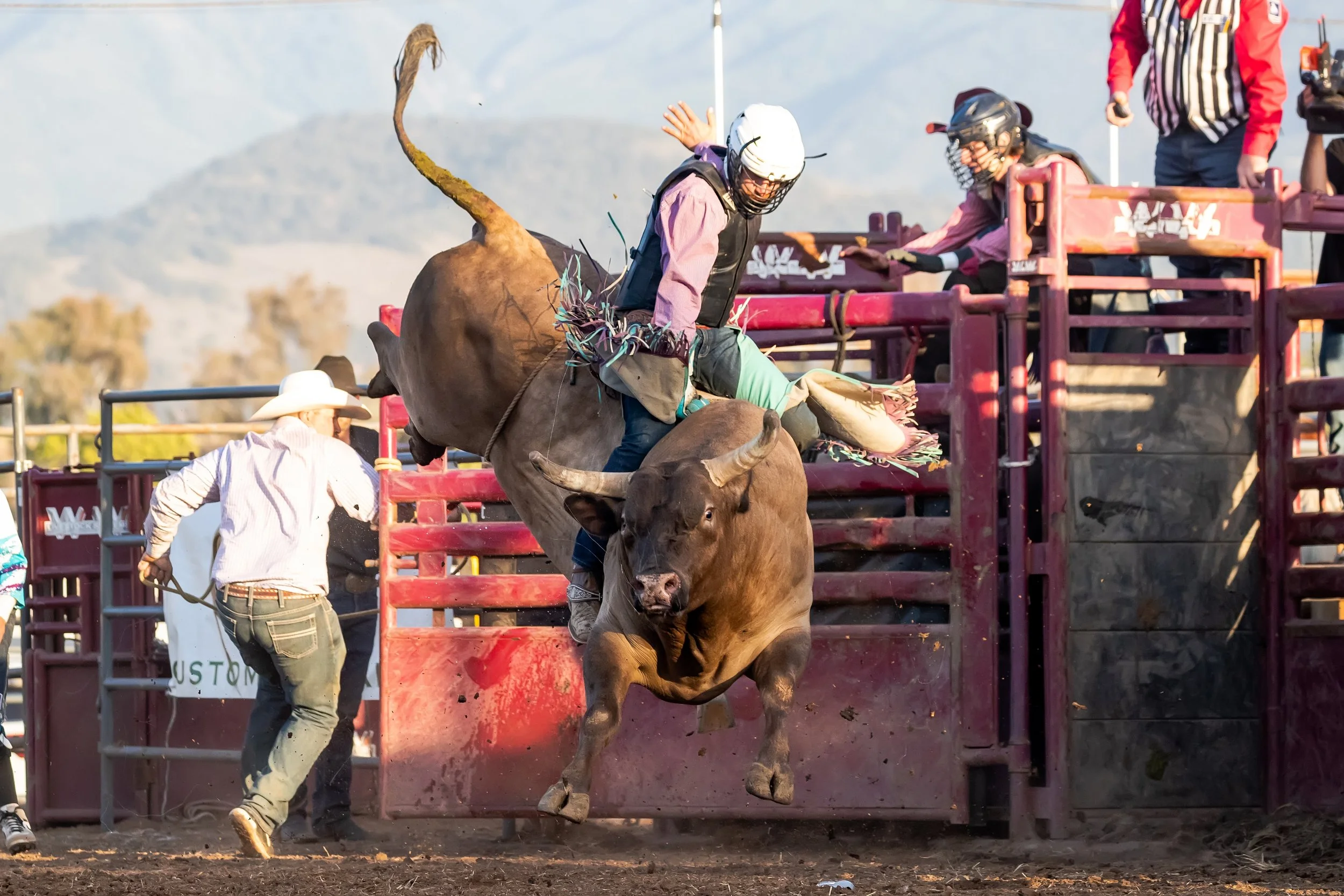 A rodeo scene where a bull rider is falling off the bull as it bucks. The rider is wearing a helmet and protective gear, and the rodeo cattle chute is visible in the background with other people nearby.
