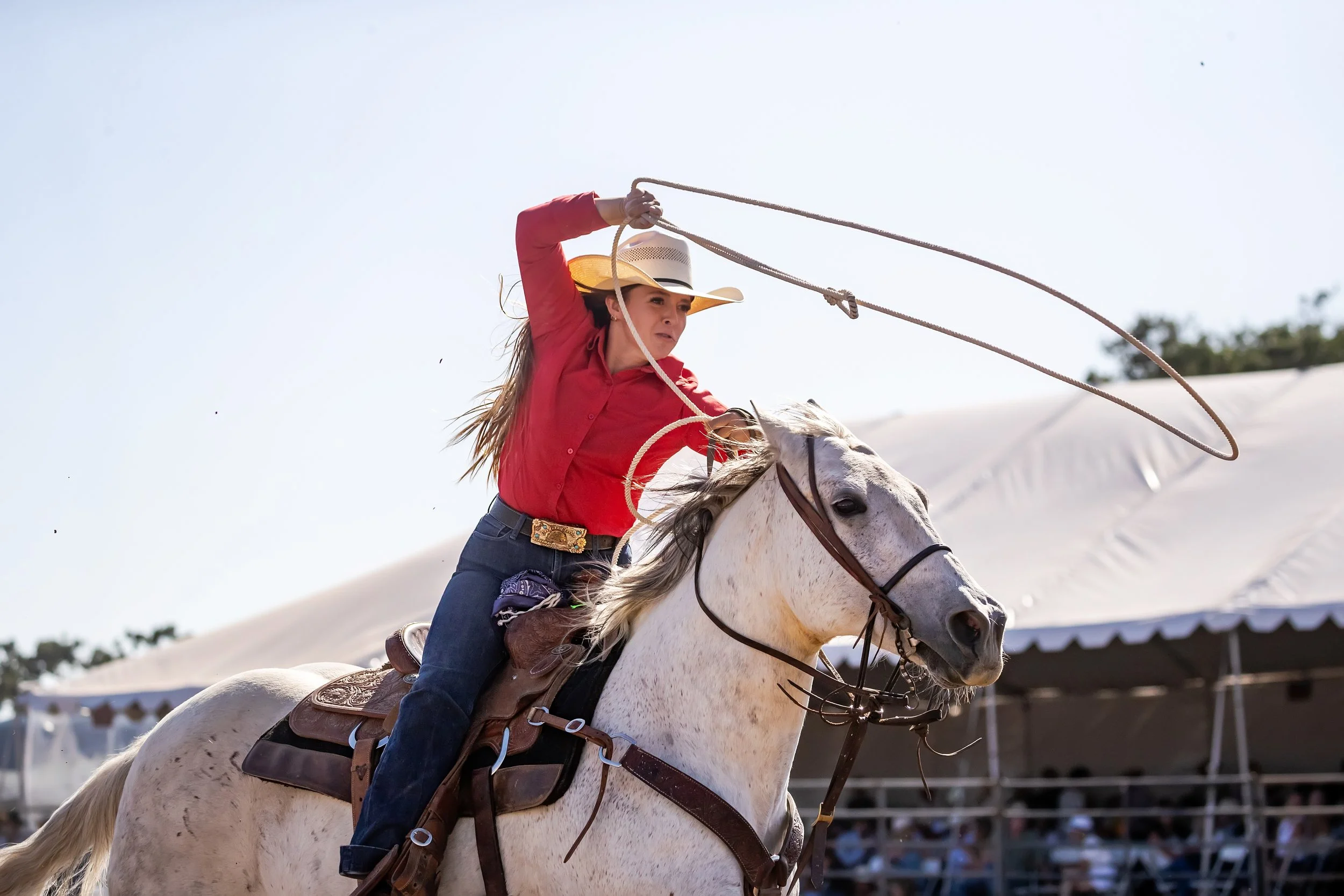 A woman riding a white horse and twirling a lasso during a rodeo event.