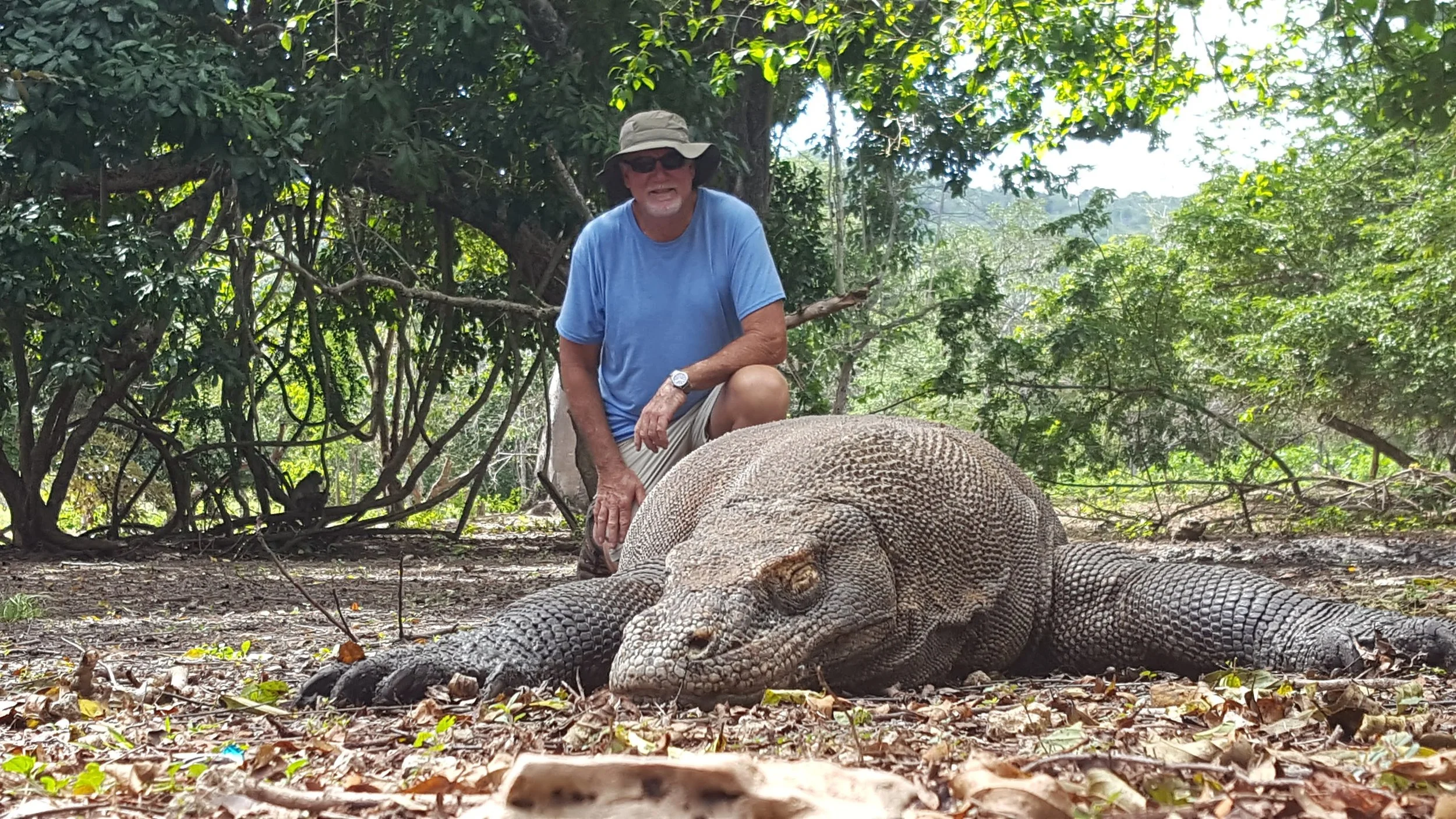 Walking With Dragons