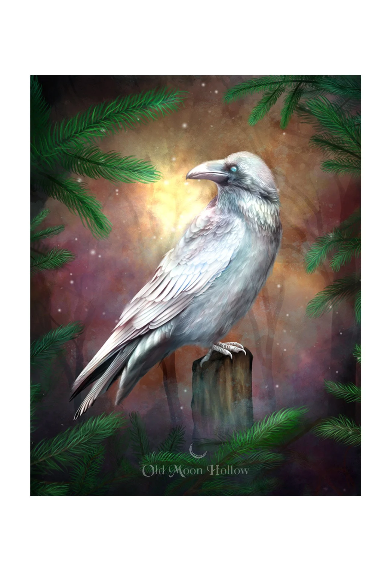 Winter-Solstice-White-Raven-Print-by-Old-Moon-Hollow.jpg