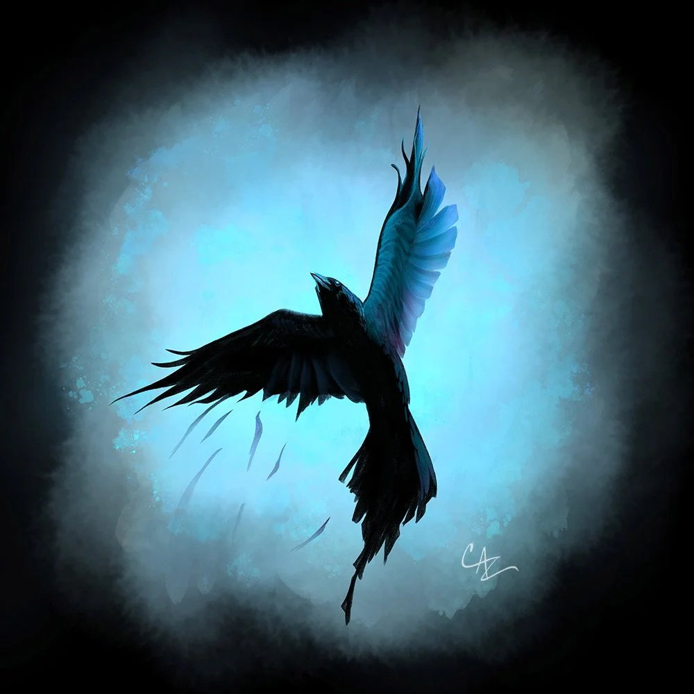 Digital painting of a bird, possibly a crow, with wings spread wide, illuminated by a blue light, with a dark background - by Cate Zeederberg on Old Moon Hollow.