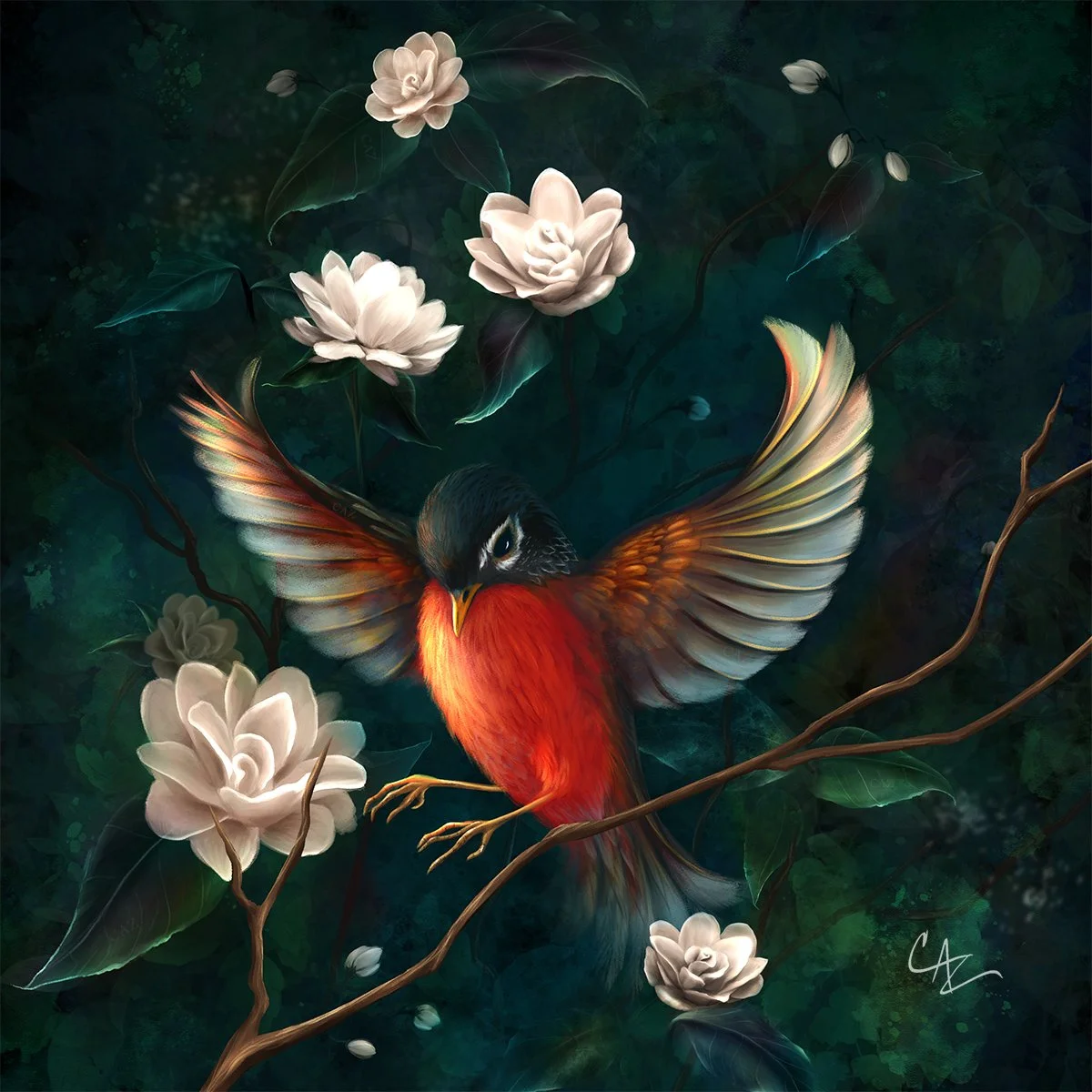 And We Carry On painting by Cate Zeederberg featuring a small, lovely red breasted robin with wings spread wide as she descends on a small twig and a background cloaked in a dark green bush speckled with delicate white roses. 
