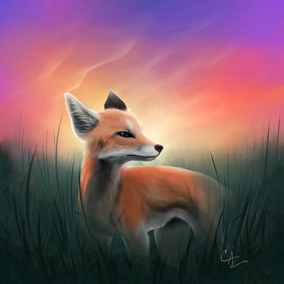 A digital painting of a fox standing in tall grass during sunset or sunrise with a colorful sky in shades of pink, purple, and orange -  by Cate Zeederberg on Old Moon Hollow.