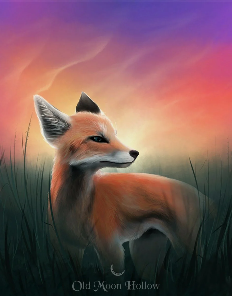 Quiet Sol - Fox at Sunset