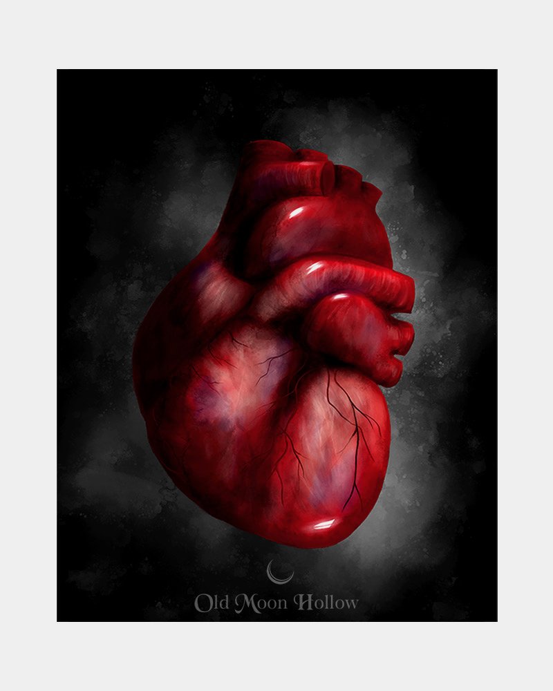 Human-Drum-Anatomical-Heart-Print-by-Old-Moon-Hollow.jpg