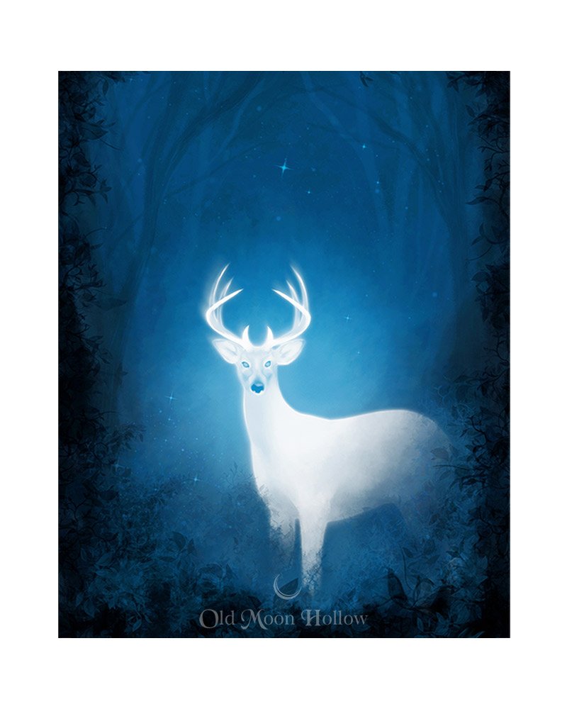 Gifting-Stag-White-Deer-Winter-Solstice-Print-by-Old-Moon-Hollow.jpg