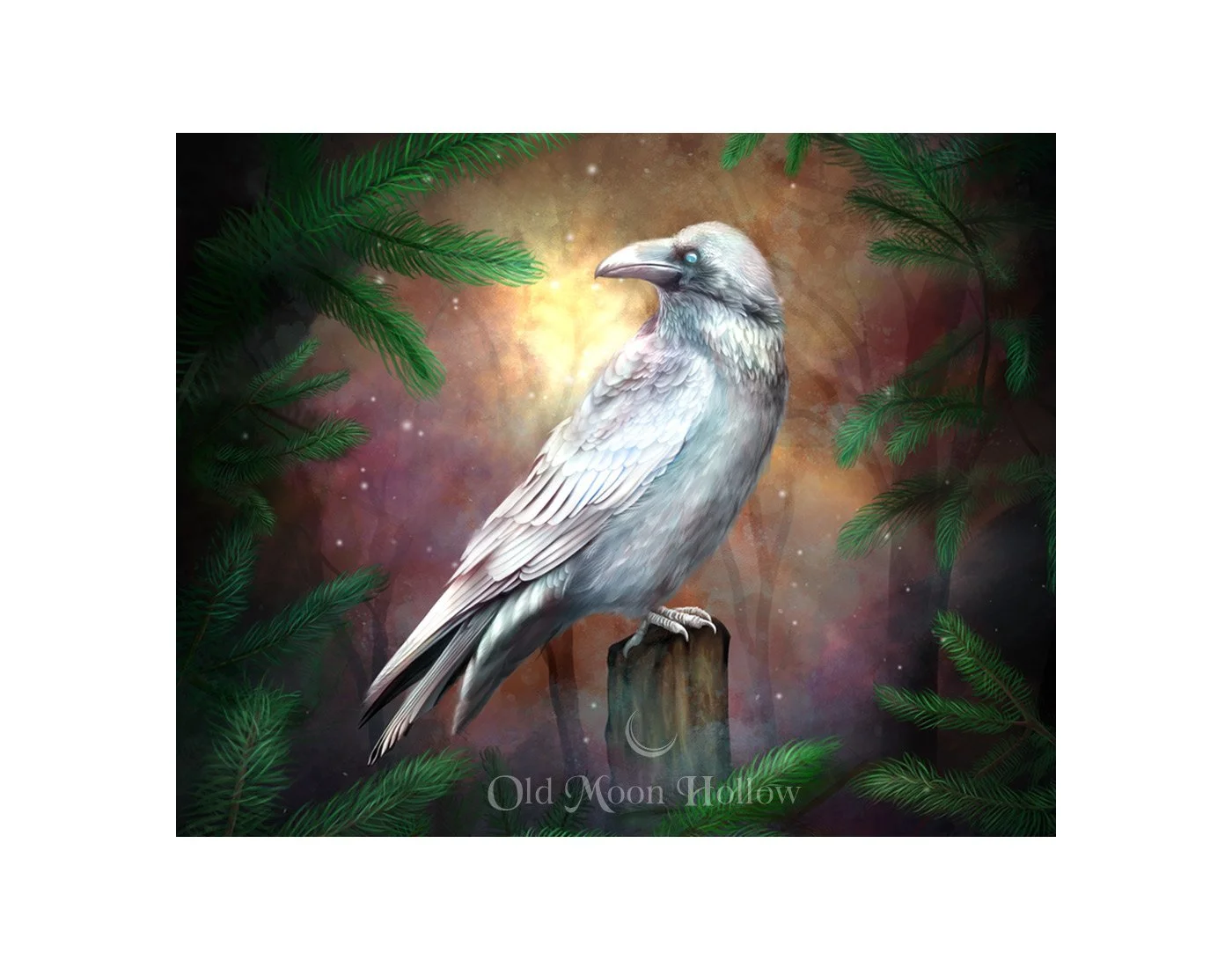 Winter-Solstice-White-Raven-Print-by-Old-Moon-Hollow.jpg