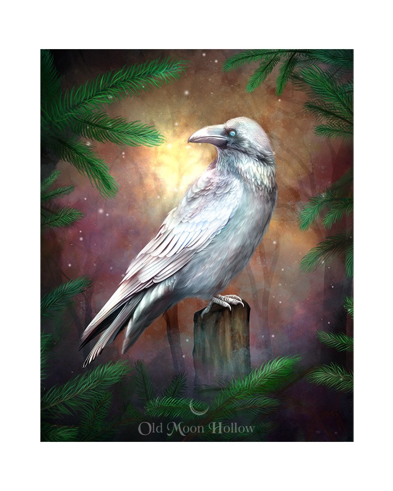 Winter-Solstice-White-Raven-Print-by-Old-Moon-Hollow.jpg