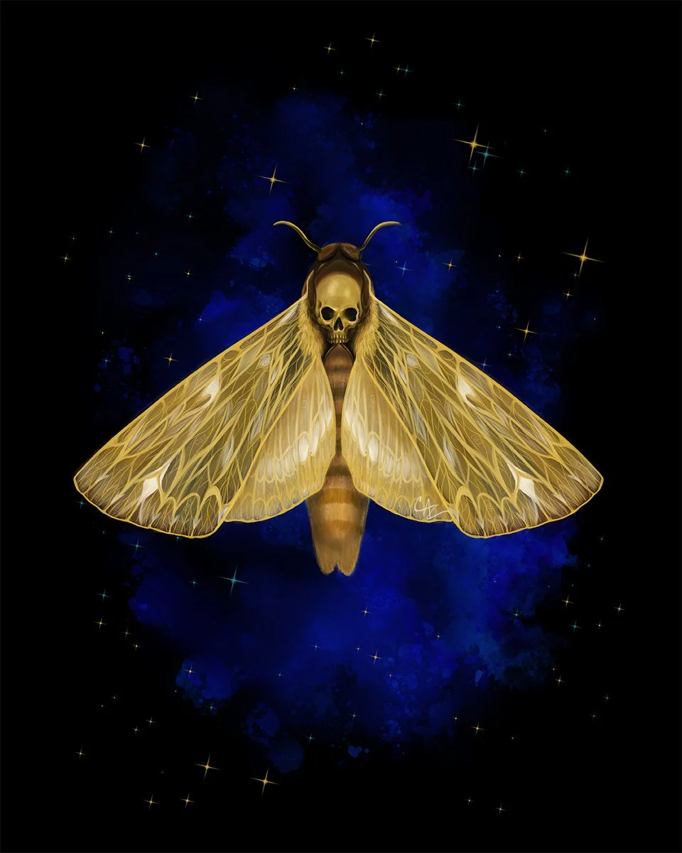 A moth with a skull-shaped face, glowing yellow wings, and antennae, set against a starry dark blue night sky background - Golden Death Head Moth painting  by Cate Zeederberg on Old Moon Hollow.