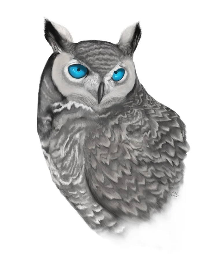 Illustration of a gray owl with bright blue eyes, facing forward against a white background.