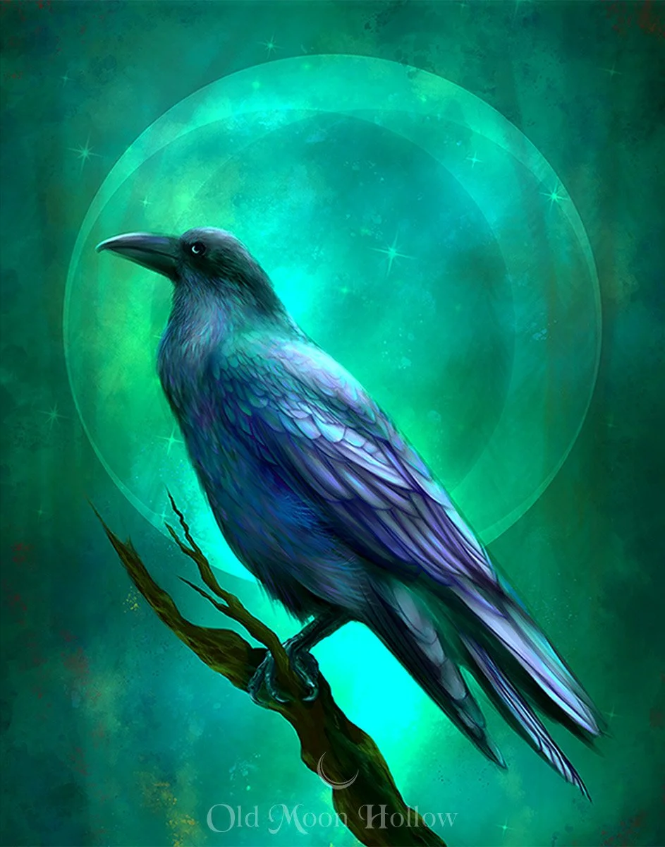 The Raven’s Moon Forest