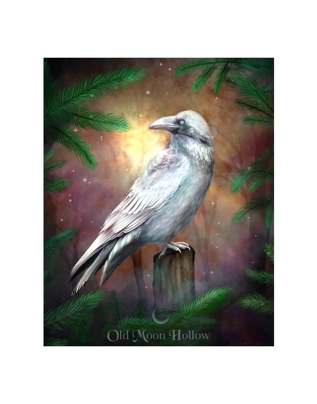 Winter-Solstice-White-Raven-Print-by-Old-Moon-Hollow.jpg