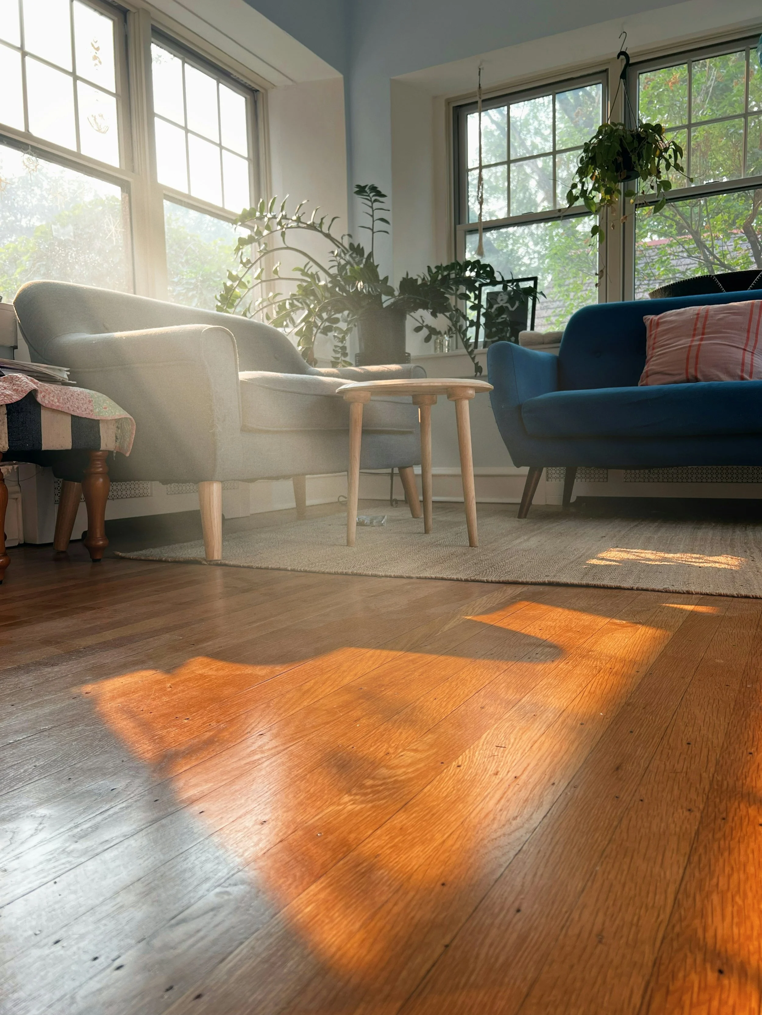 Solid Hardwood Floor