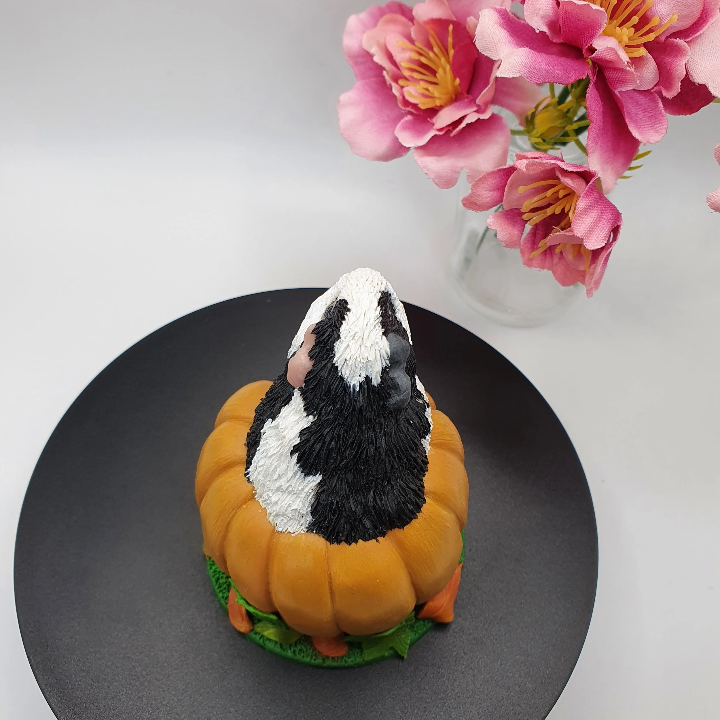 Pumpkin Guinea Pig