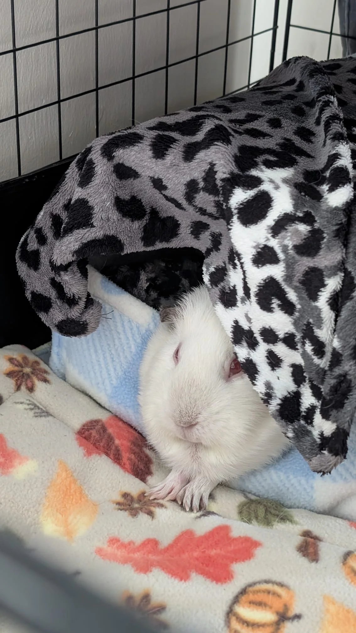 Stories from February