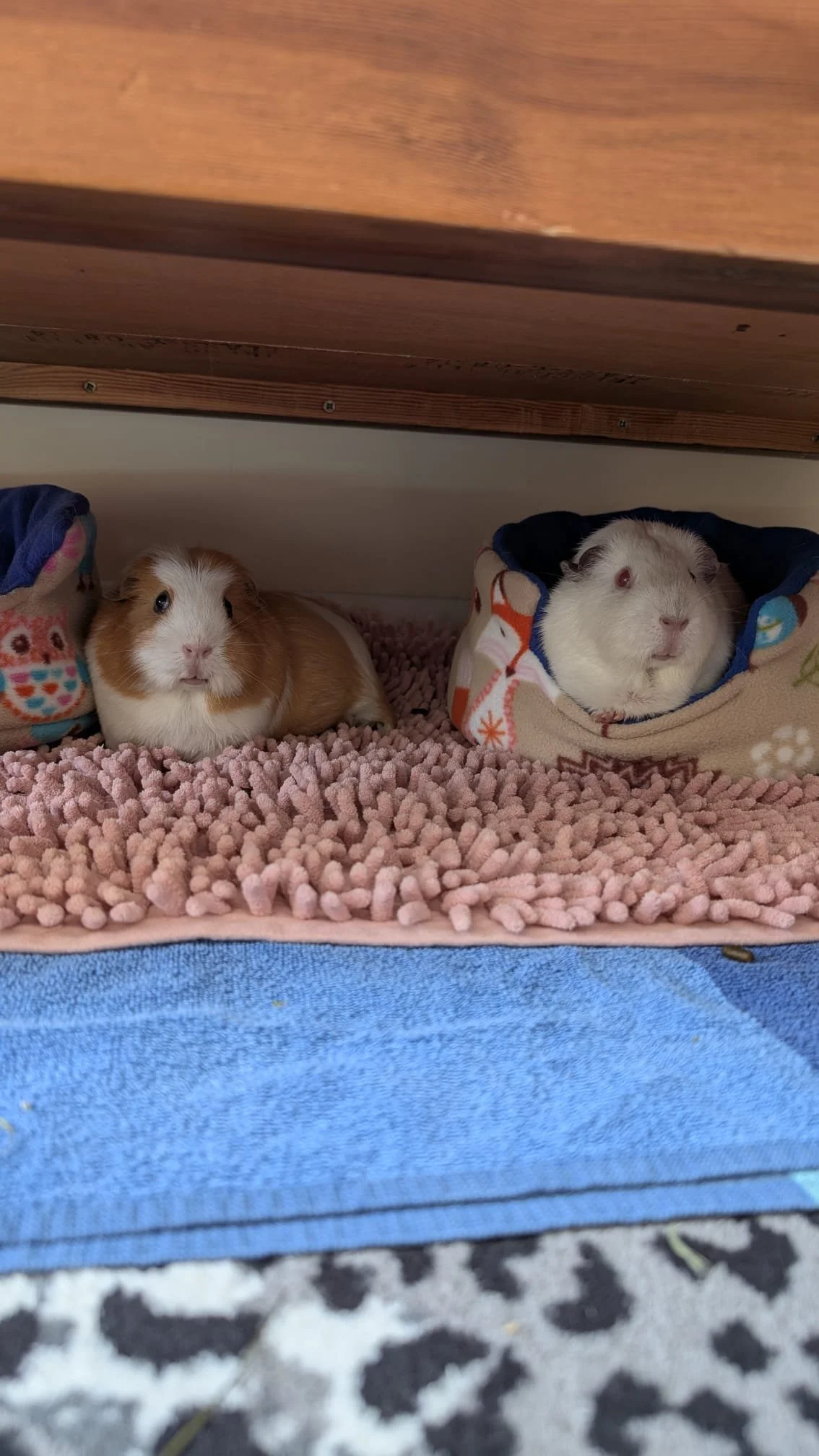 WhatsApp Image 2026-04-07 at 15.39.46.jpeg