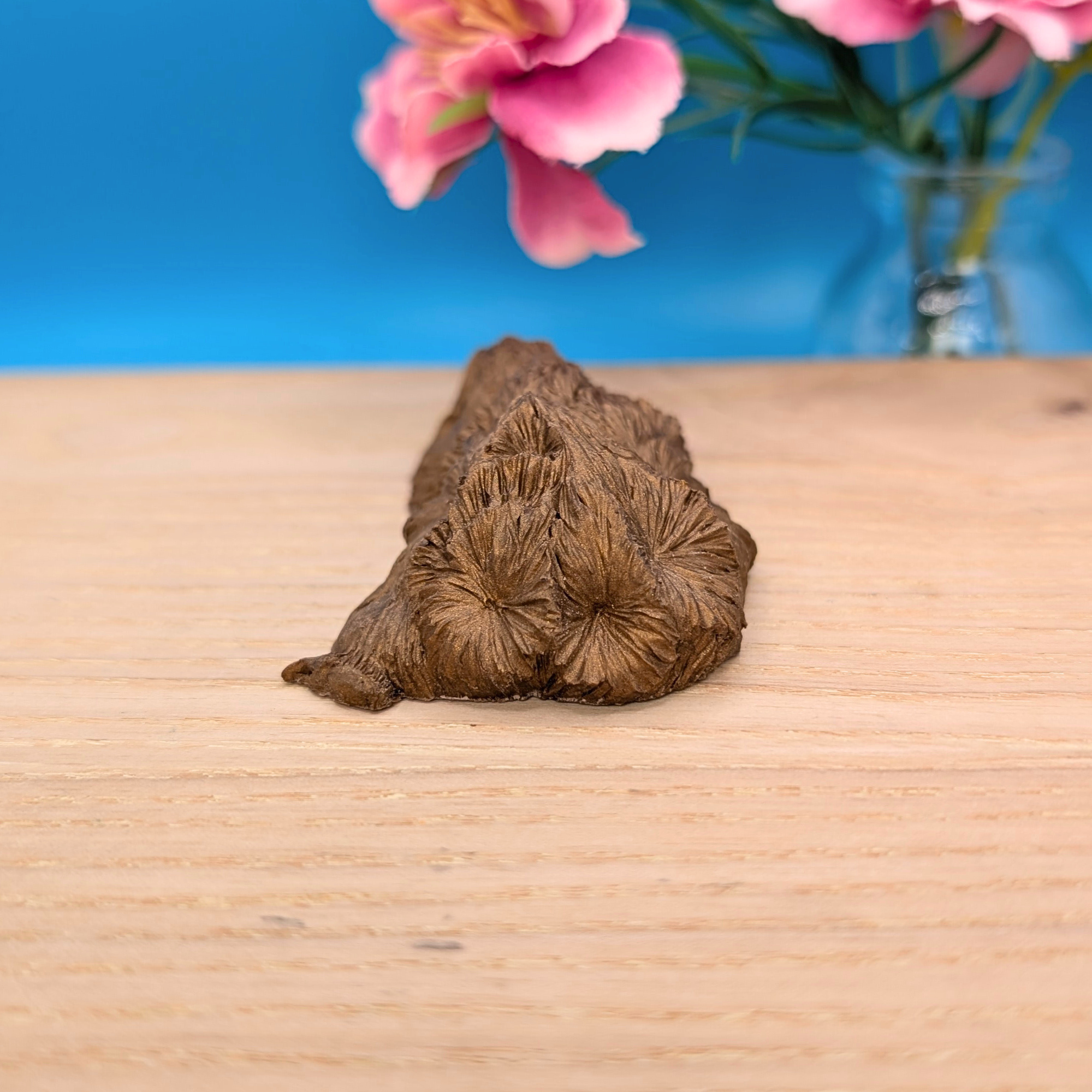 Bronze Guinea Pig Sculptures