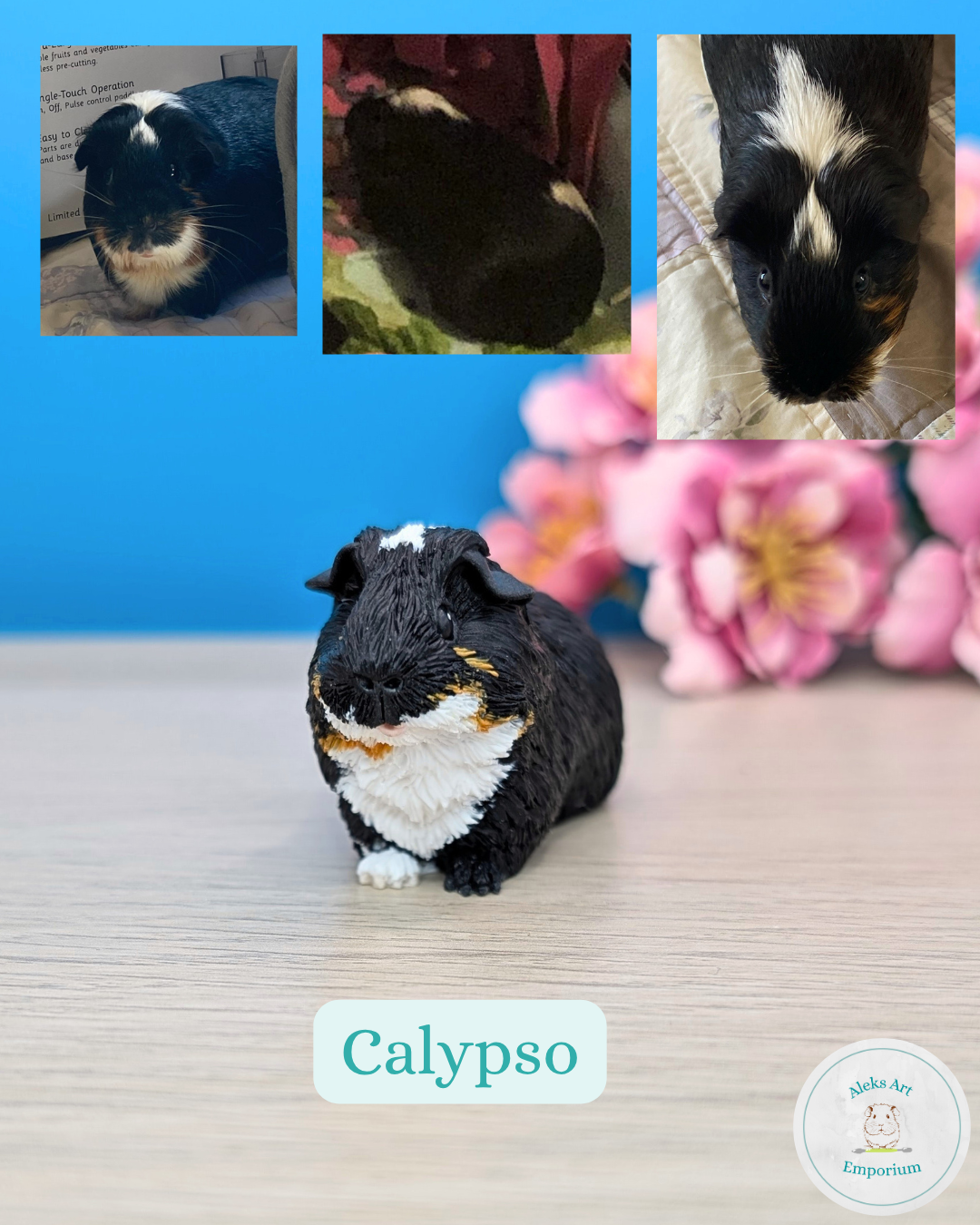 Calypso (1).png
