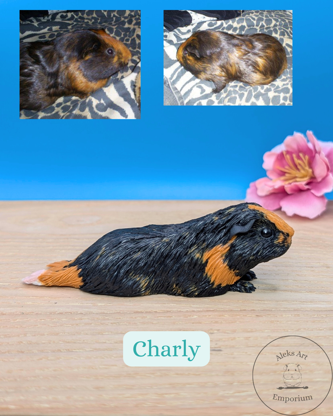 A 3D model of a guinea pig with black and orange fur on a wooden surface, with a pink flower in the background. An inset shows two photos of a real guinea pig with similar coloring, one on a leopard print blanket and the other on patterned fabric, an