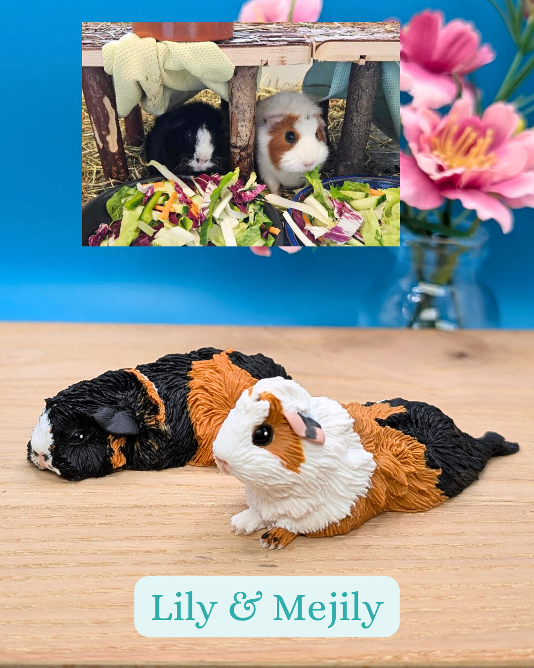 Personalised Guinea Pig Sculpture