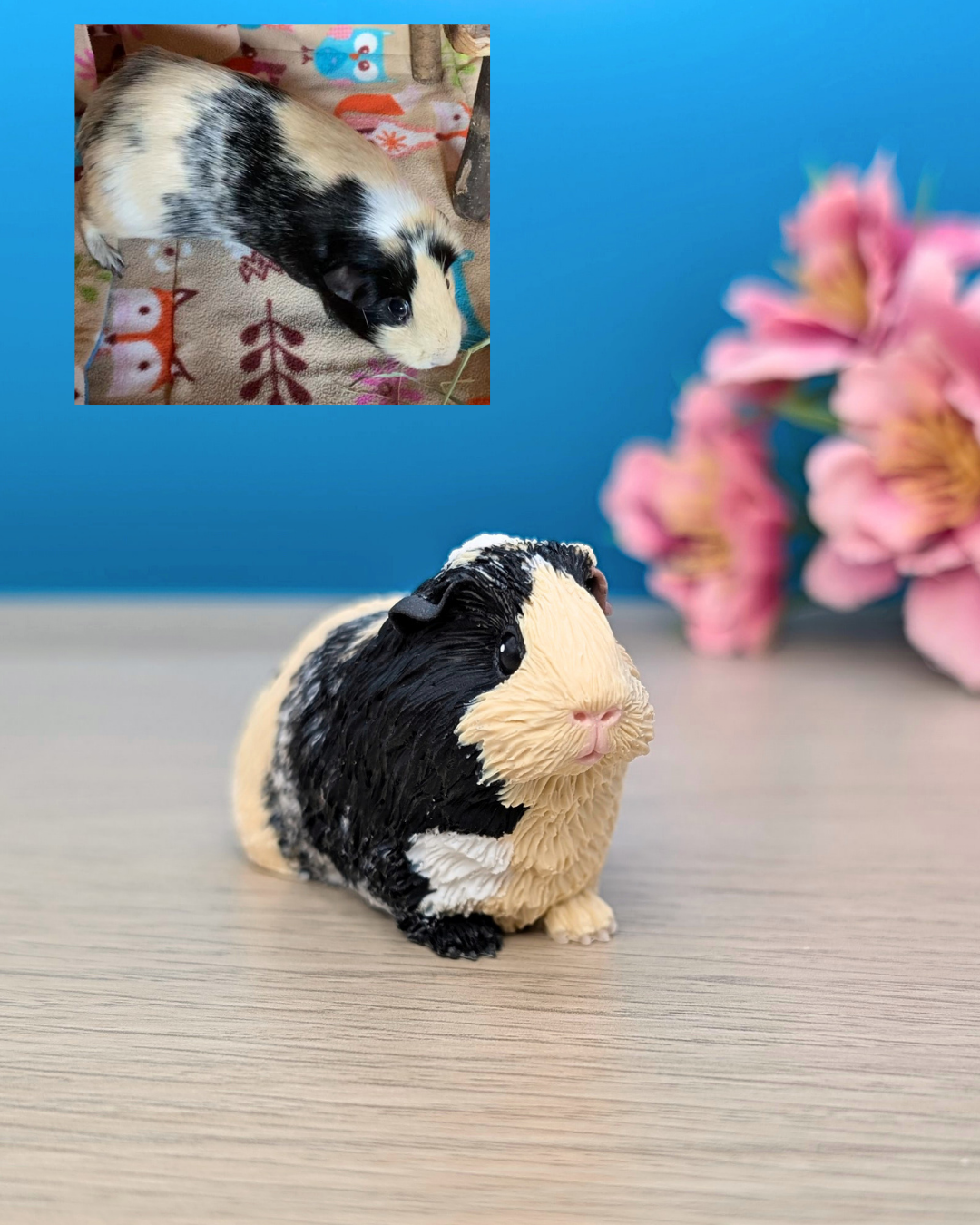 A realistic guinea pig figurine with black and cream fur and a pink nose, positioned on a light wooden surface in front of a blue wall with pink flowers in the background.