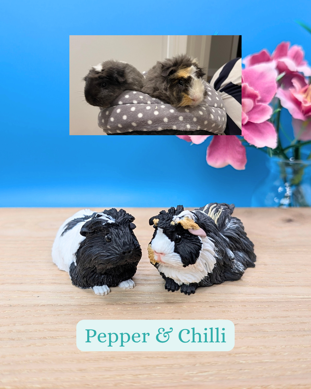 Personalised Guinea Pig Sculpture