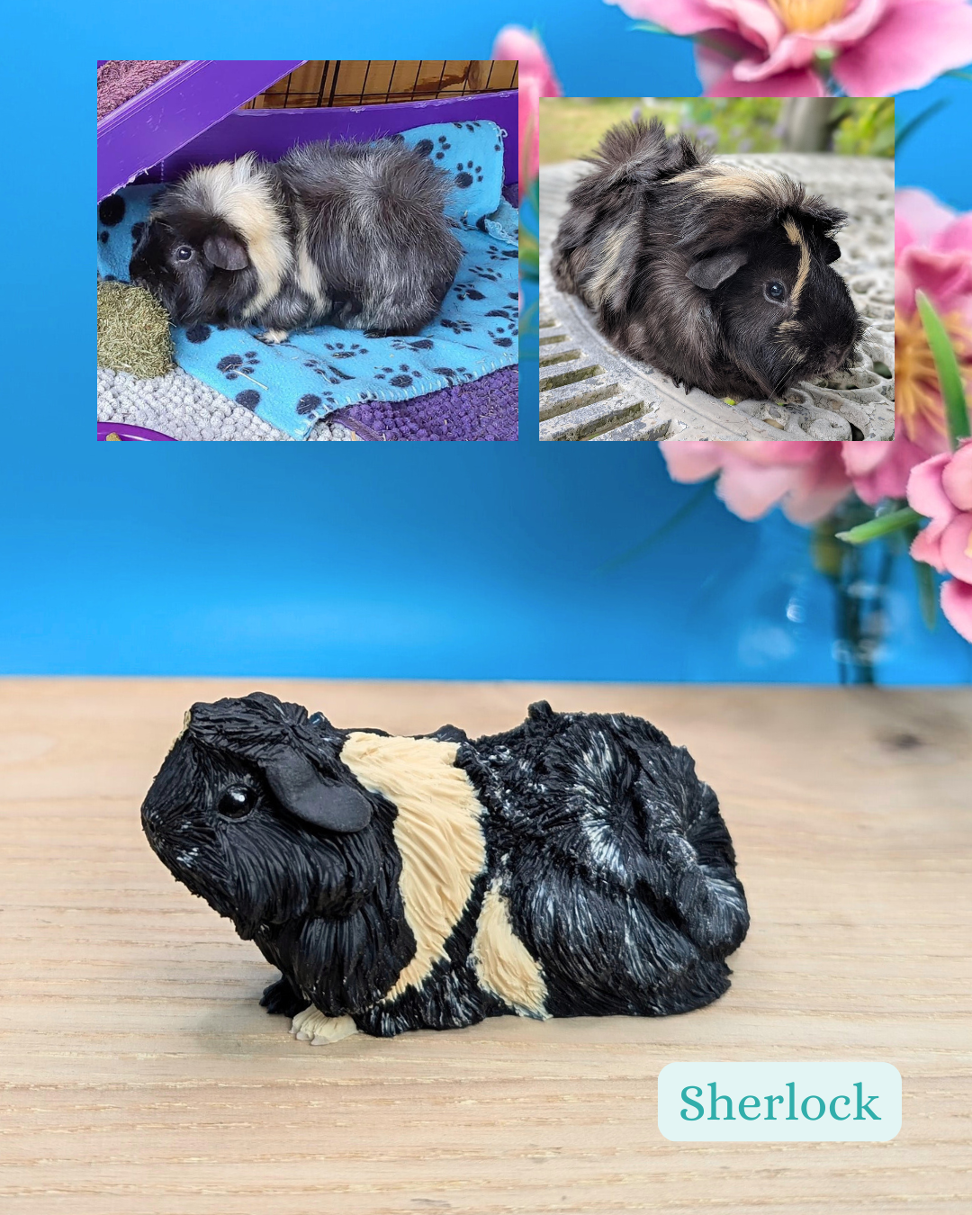 Personalised Guinea Pig Sculpture