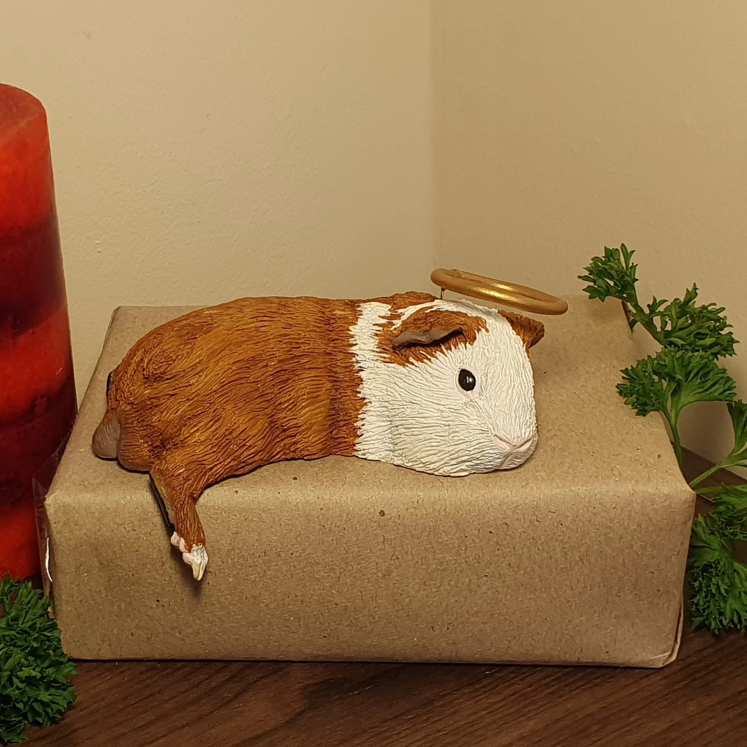 Ginna, Custom Guinea Pig