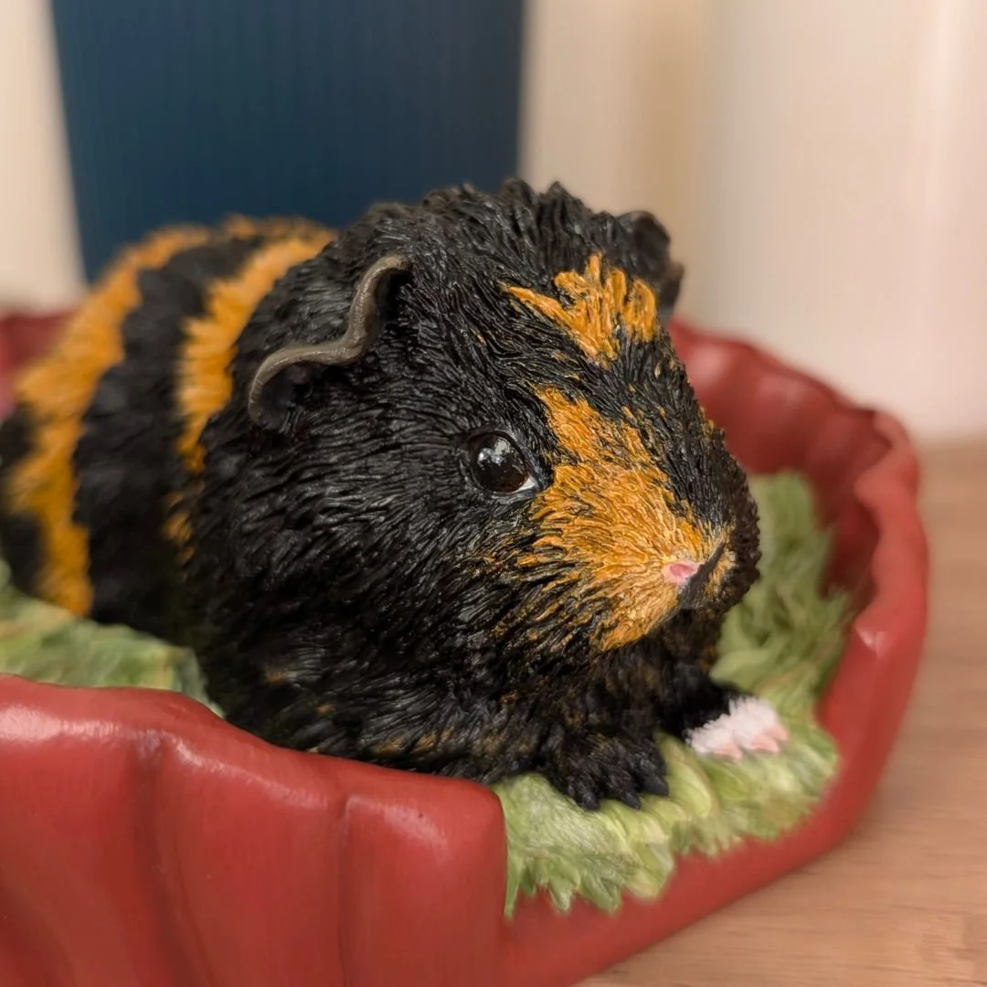 Flubber, Custom Guinea Pig