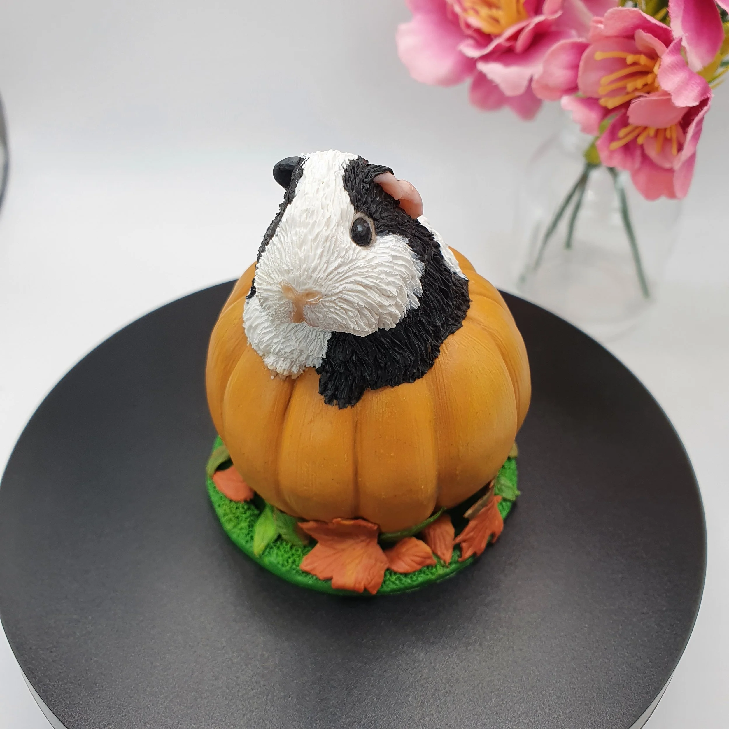 Pumpkin Guinea Pig