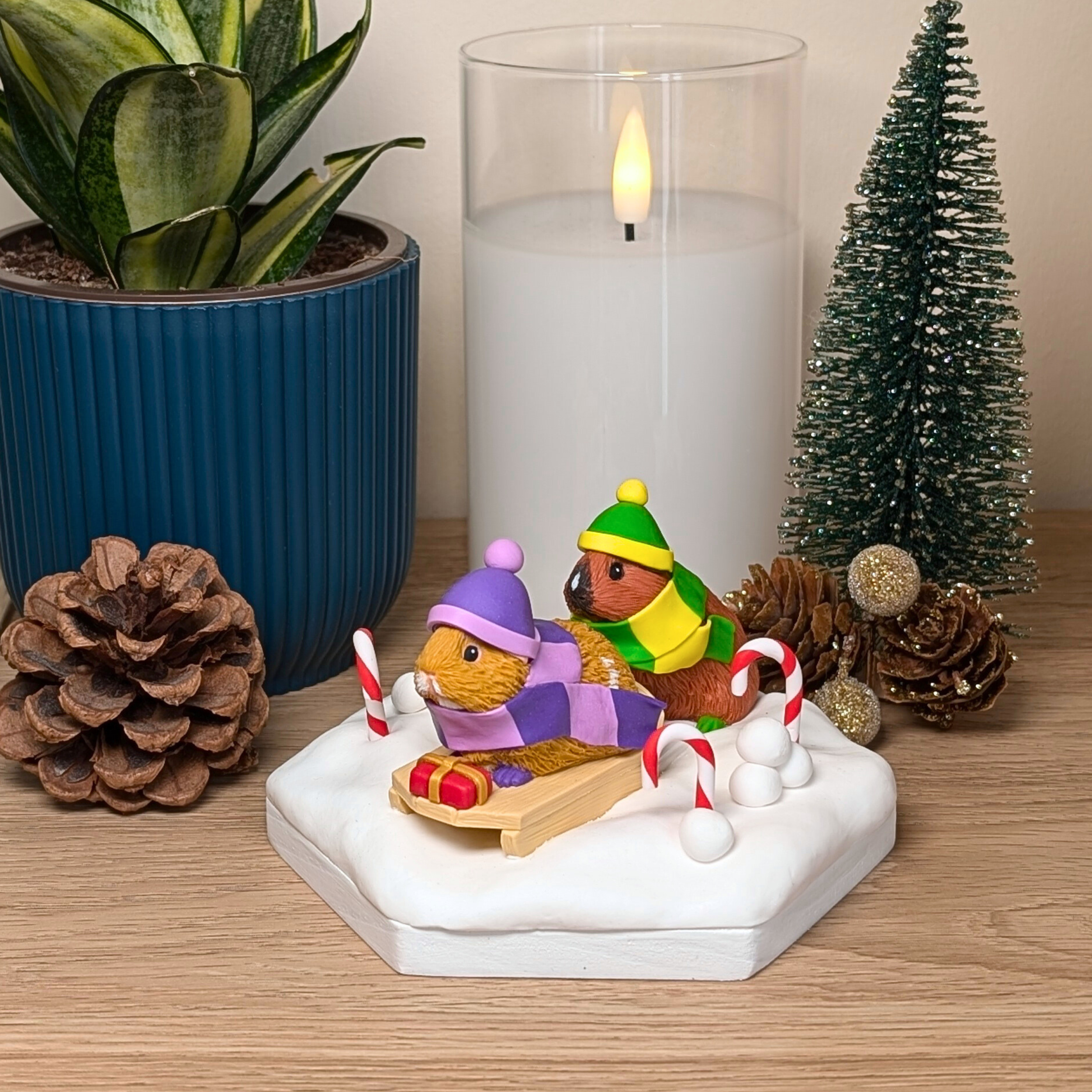 winter guinea pig.png