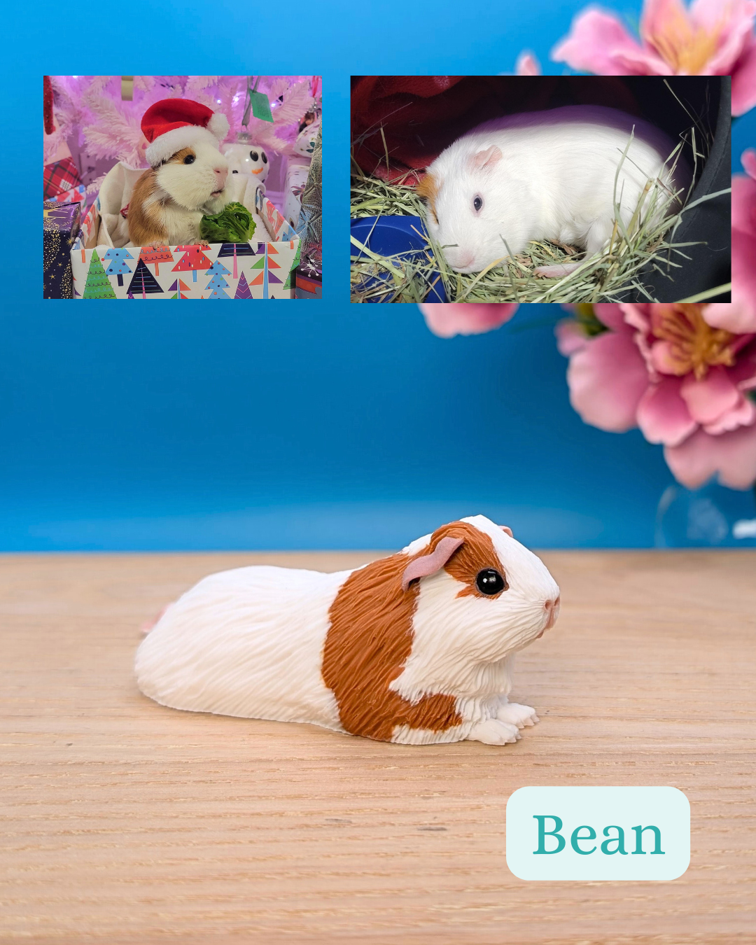 Personalised Guinea Pig Sculpture